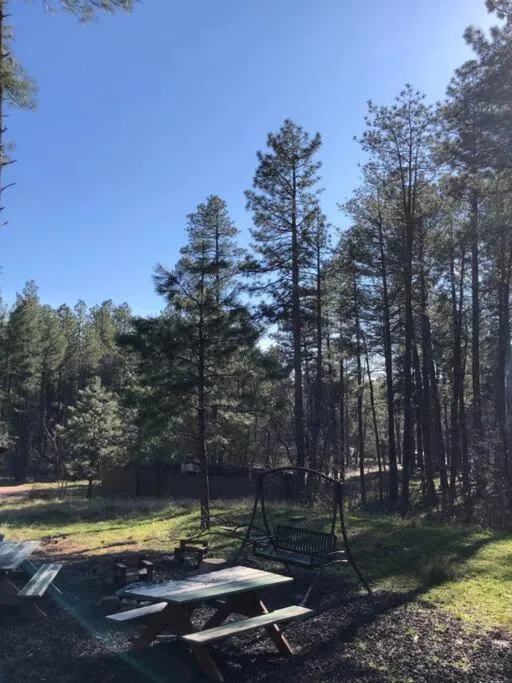 Forest Cabin 7 Seventh Heaven