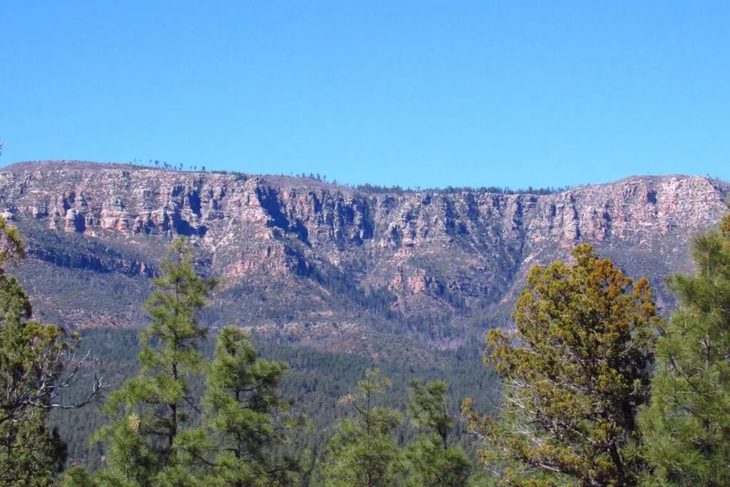 Forest Cabin 7 Seventh Heaven