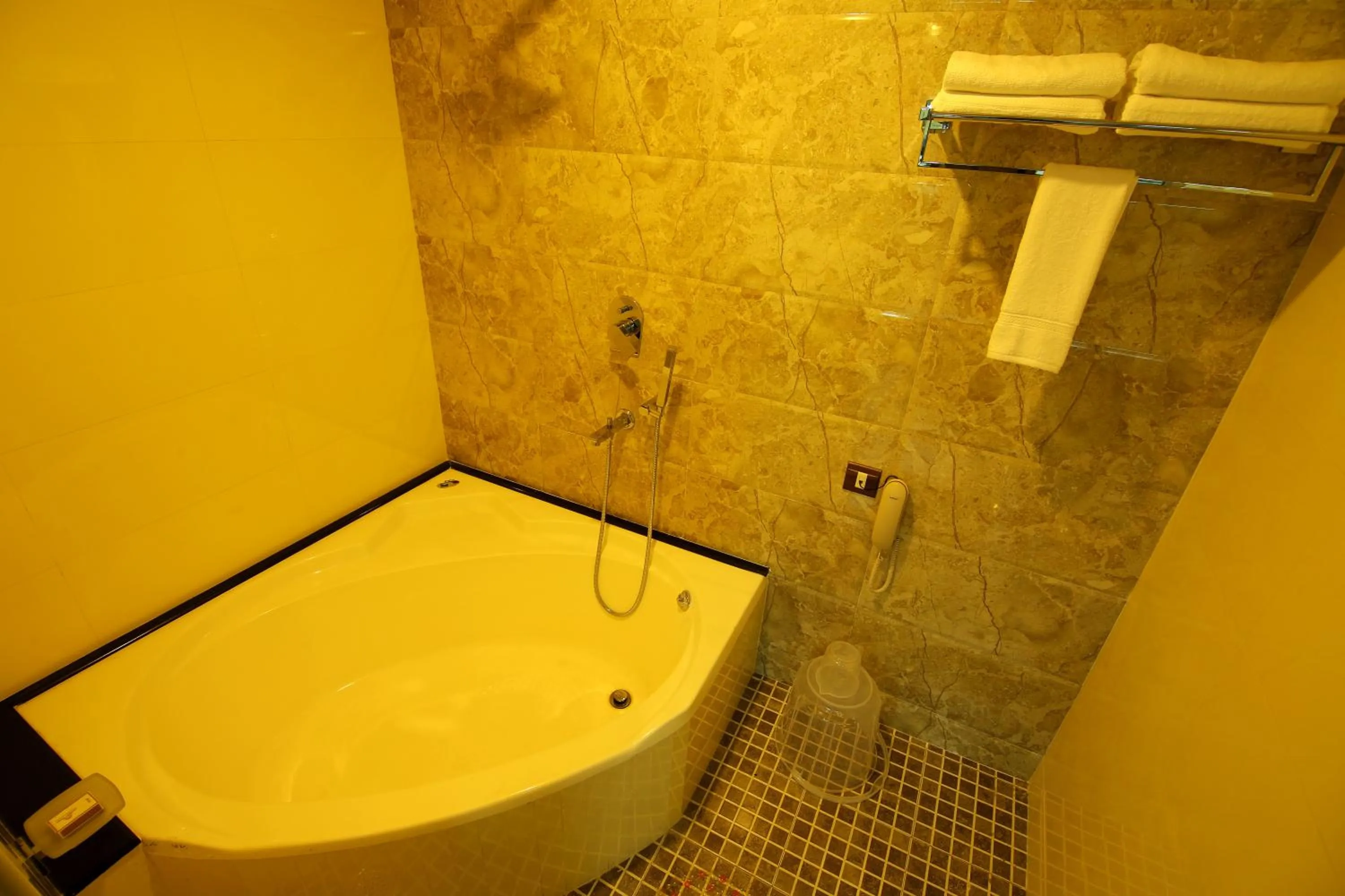 Hot Tub in Hotel Hillway Park