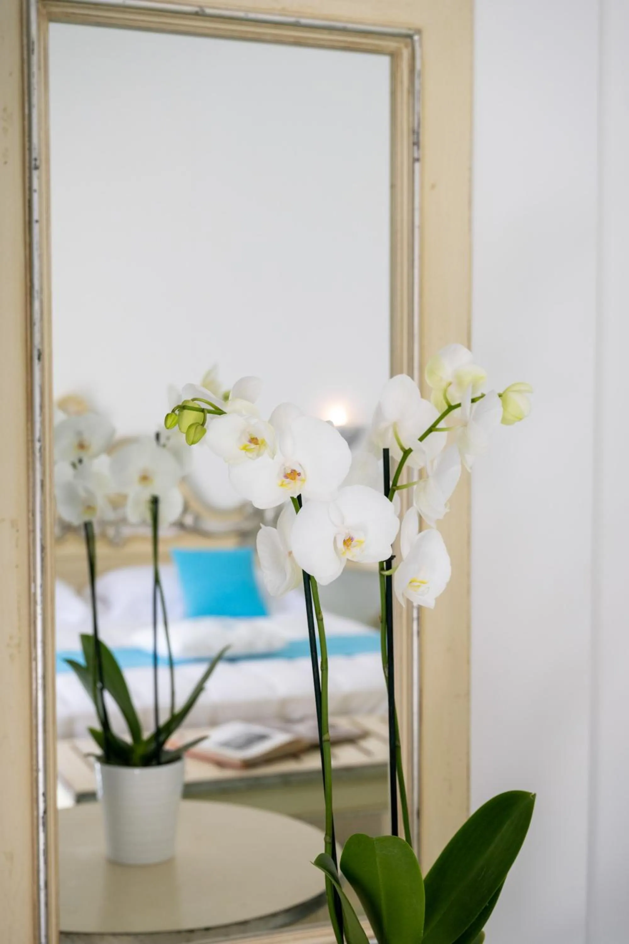 hair dresser, Bed in Hotel Royal Prisco