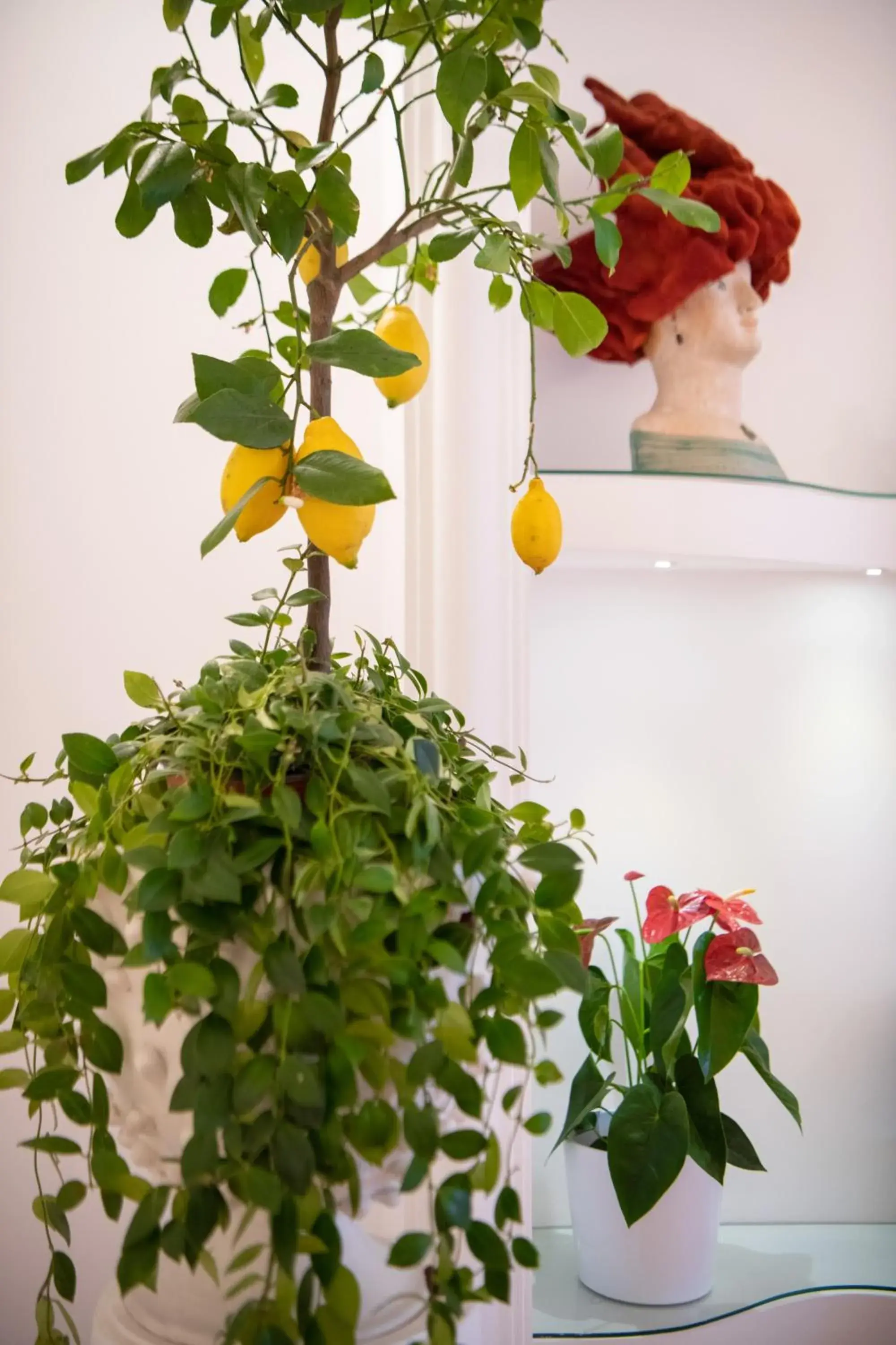 Lobby or reception in Hotel Royal Prisco Lobby or reception in Hotel Royal Prisco