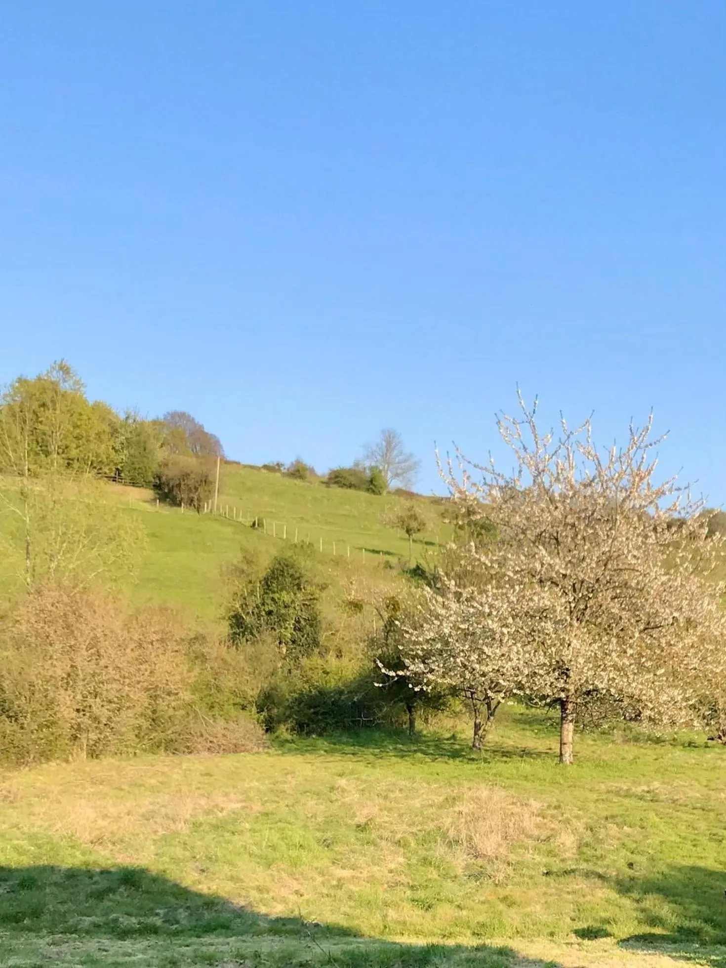 Garden in Grande Chambre Familiale JAUNE Tout Bonnement Bien