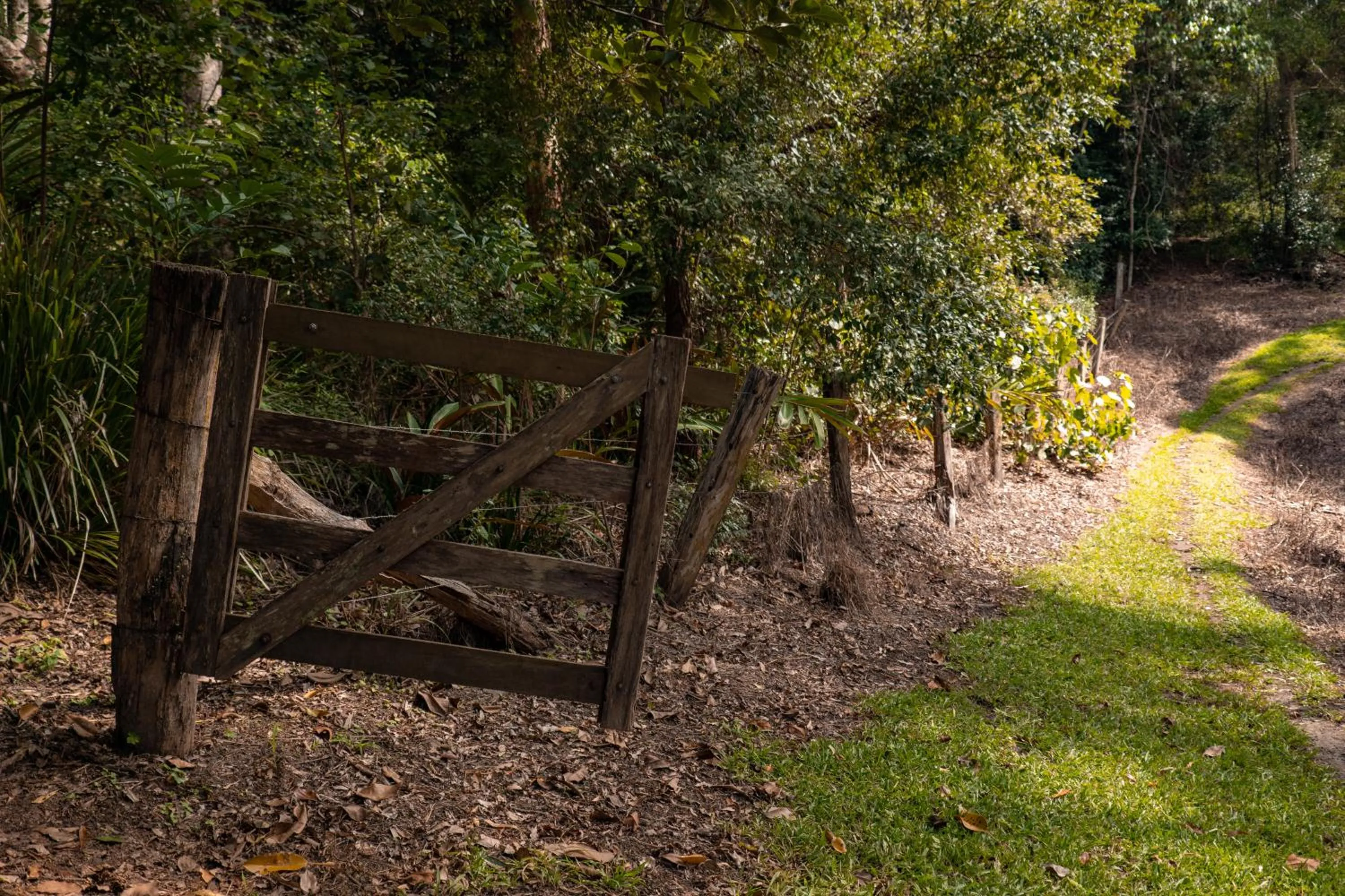 Garden view in Whispering Valley Cottage Retreat