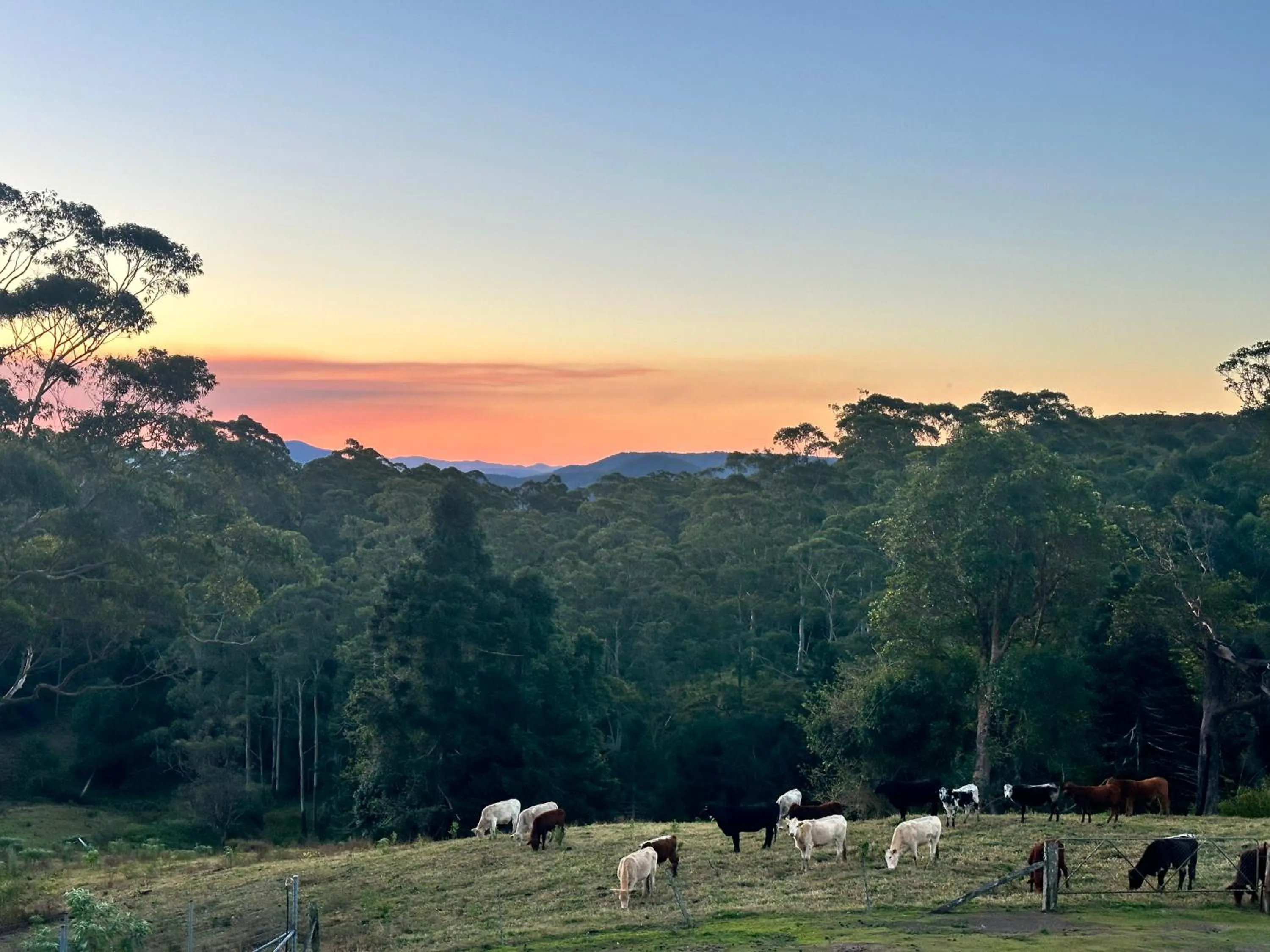 Natural landscape in Whispering Valley Cottage Retreat