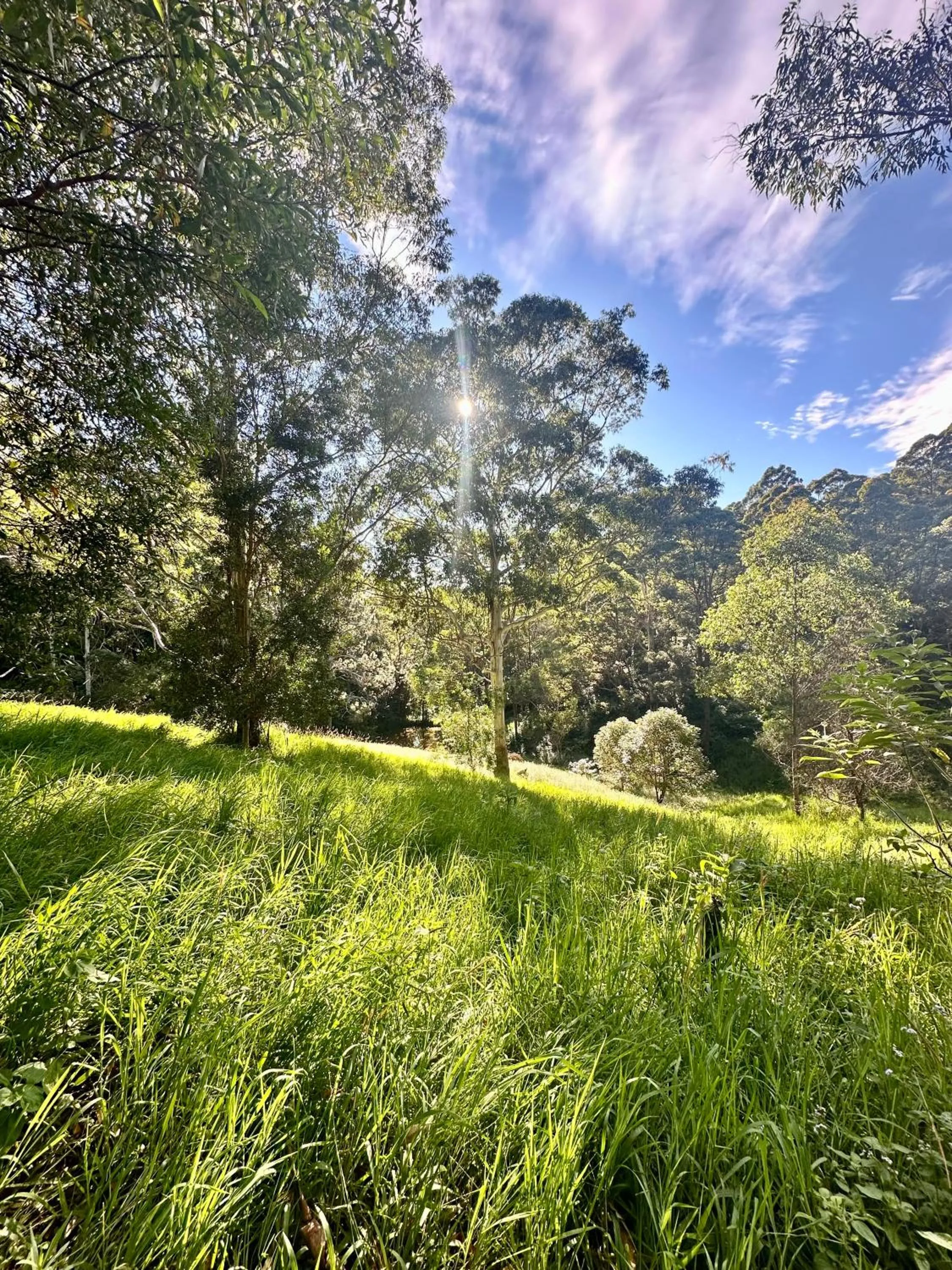 Garden in Whispering Valley Cottage Retreat