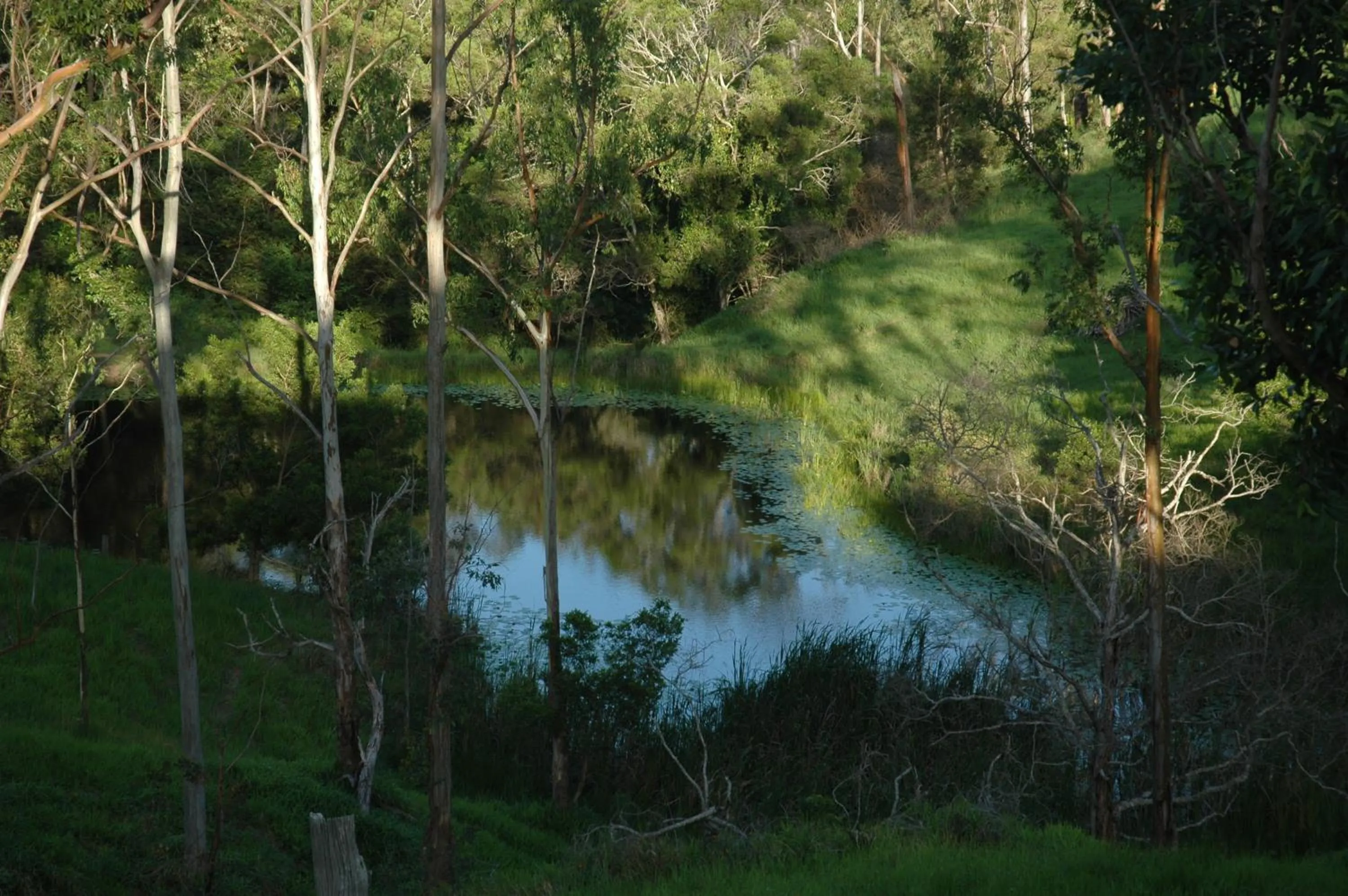 Garden in Whispering Valley Cottage Retreat