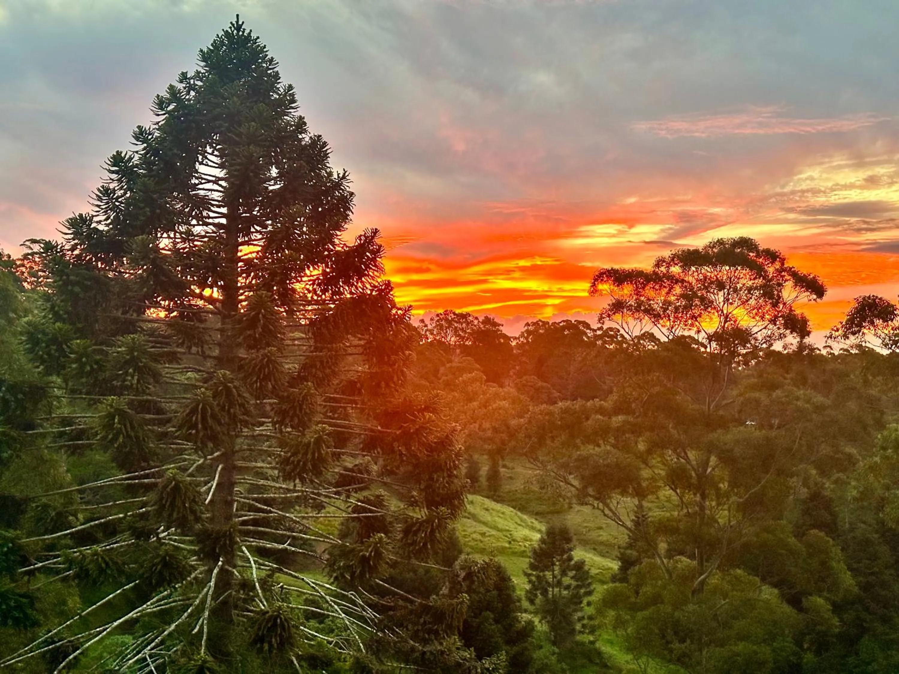 View (from property/room) in Whispering Valley Cottage Retreat