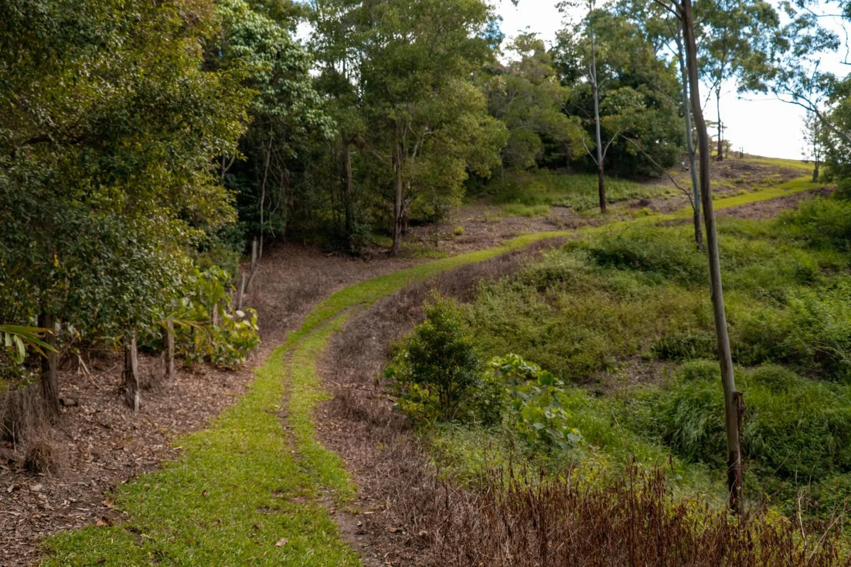 Garden in Whispering Valley Cottage Retreat