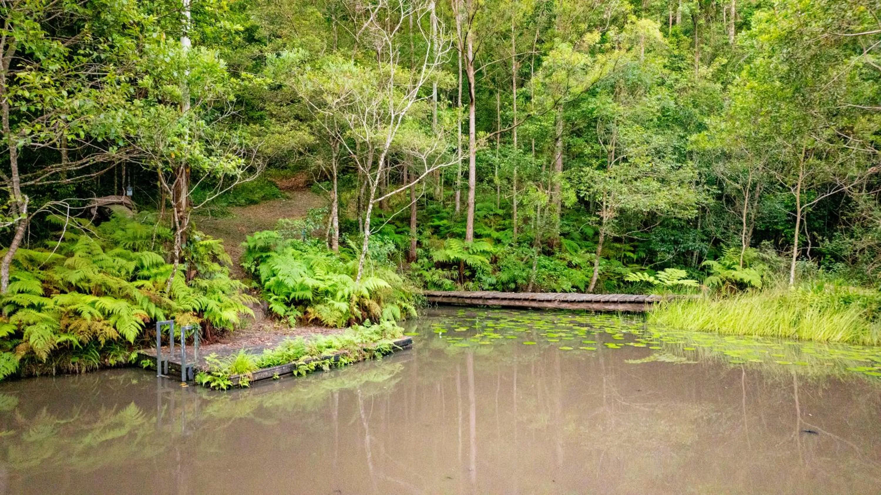 Natural landscape in Whispering Valley Cottage Retreat