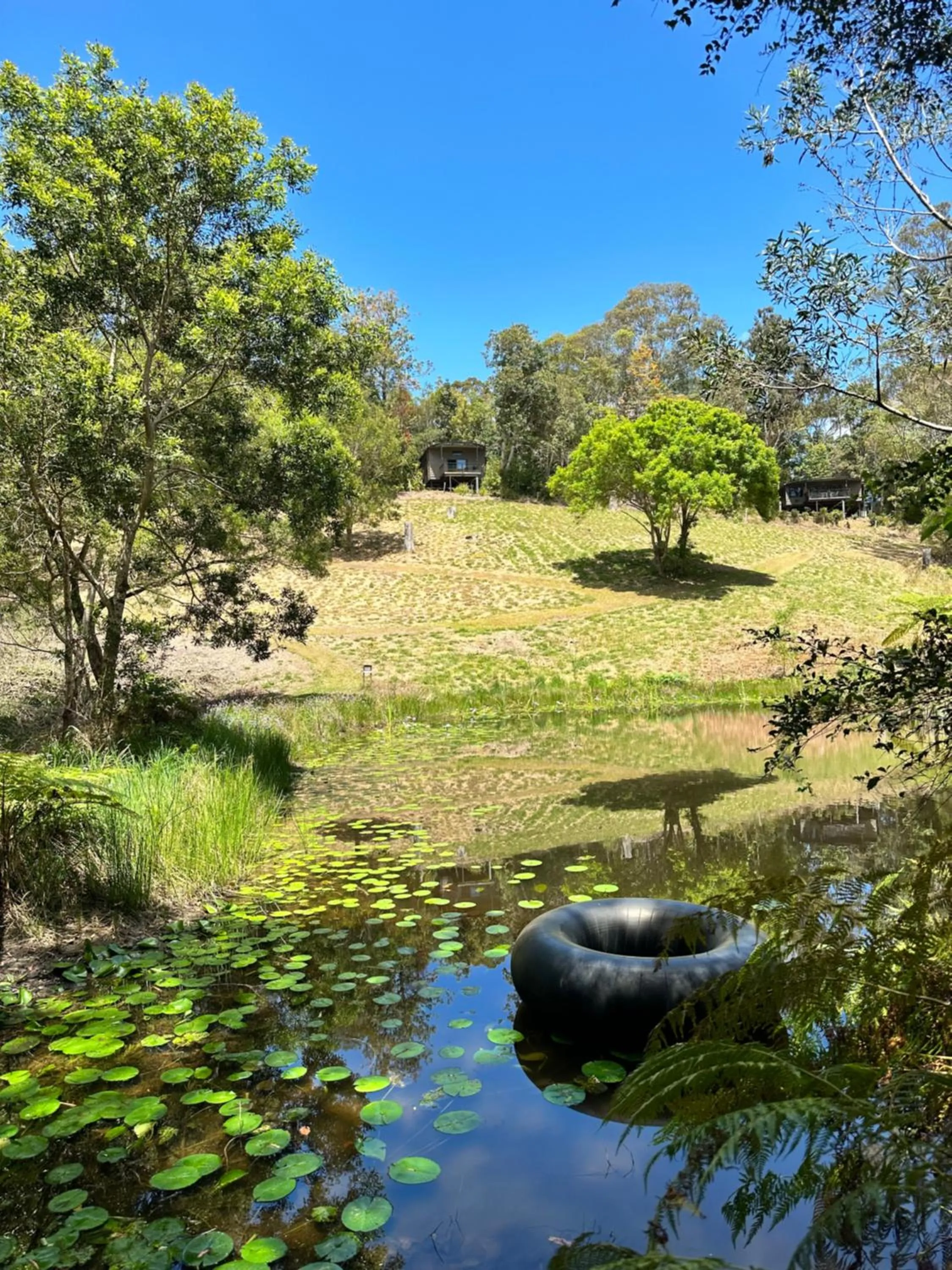 Summer in Whispering Valley Cottage Retreat
