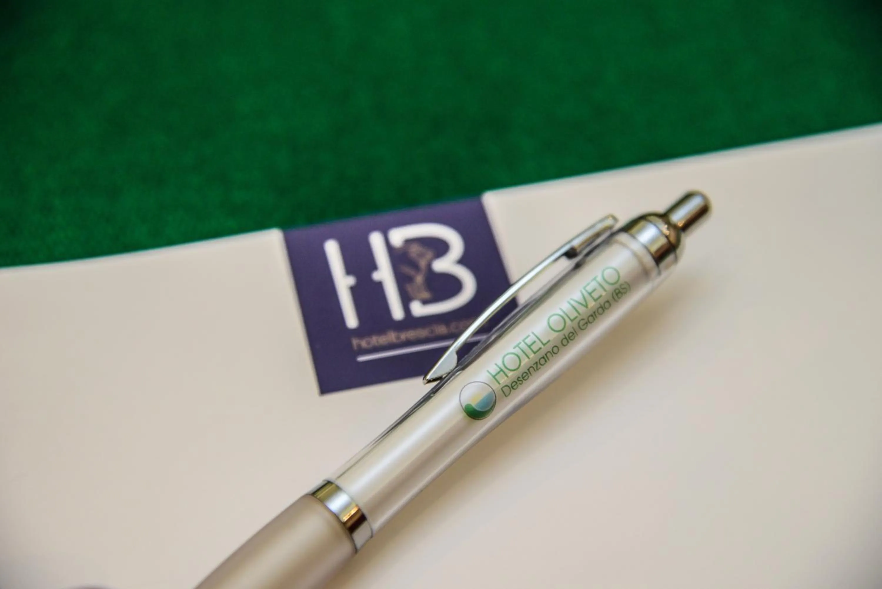 Business facilities in Hotel Oliveto