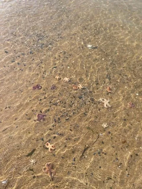 Chambre d'hôtes près de la plage