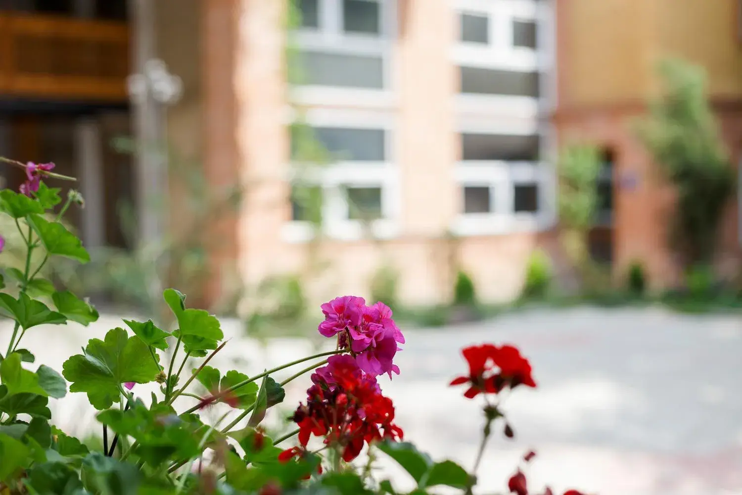 King Room with Garden View in Hotel Aira Plaza King Room with Garden View in Hotel Aira Plaza