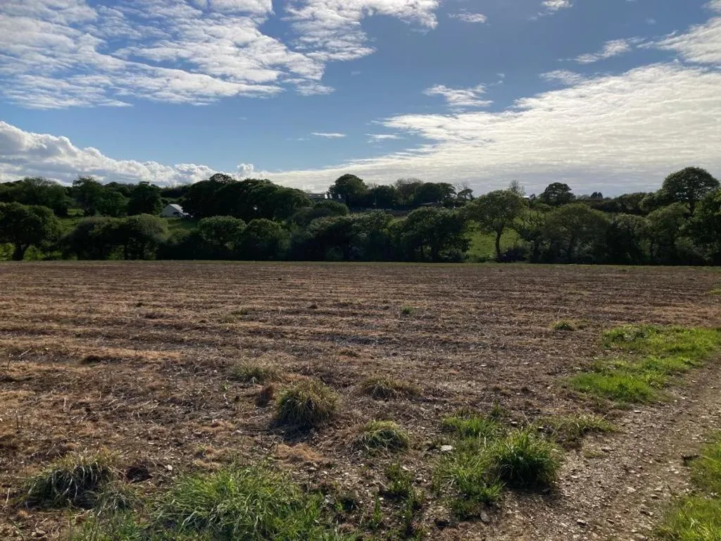 Natural landscape in Tresithick Vean Bed and Breakfast