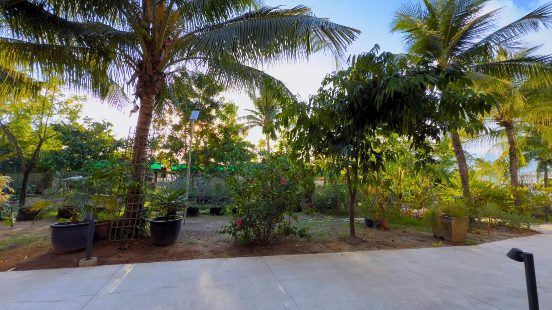 Garden view in Whiterock Beach Hotel and Waterpark
