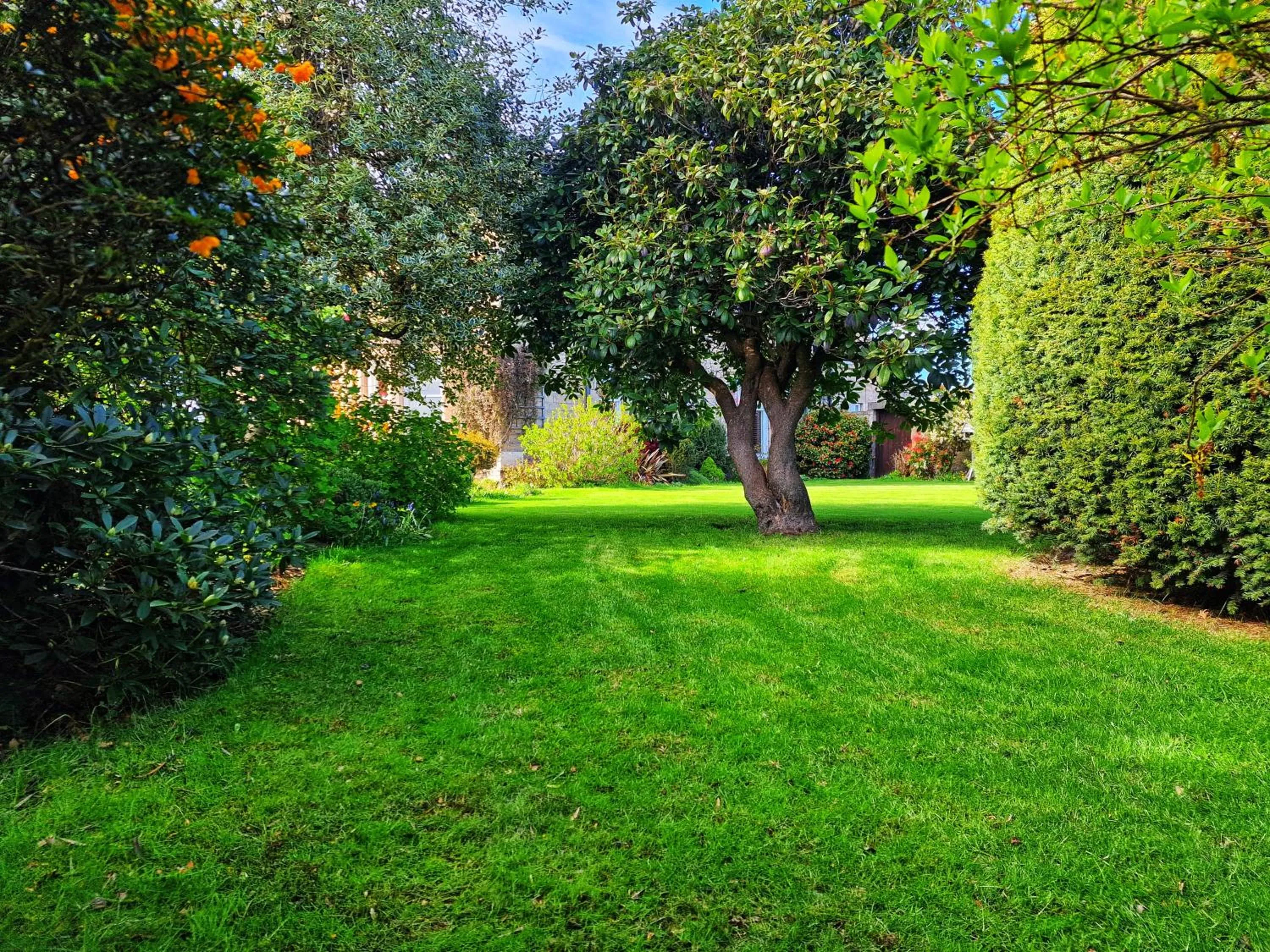 Garden in The Pines Guest House