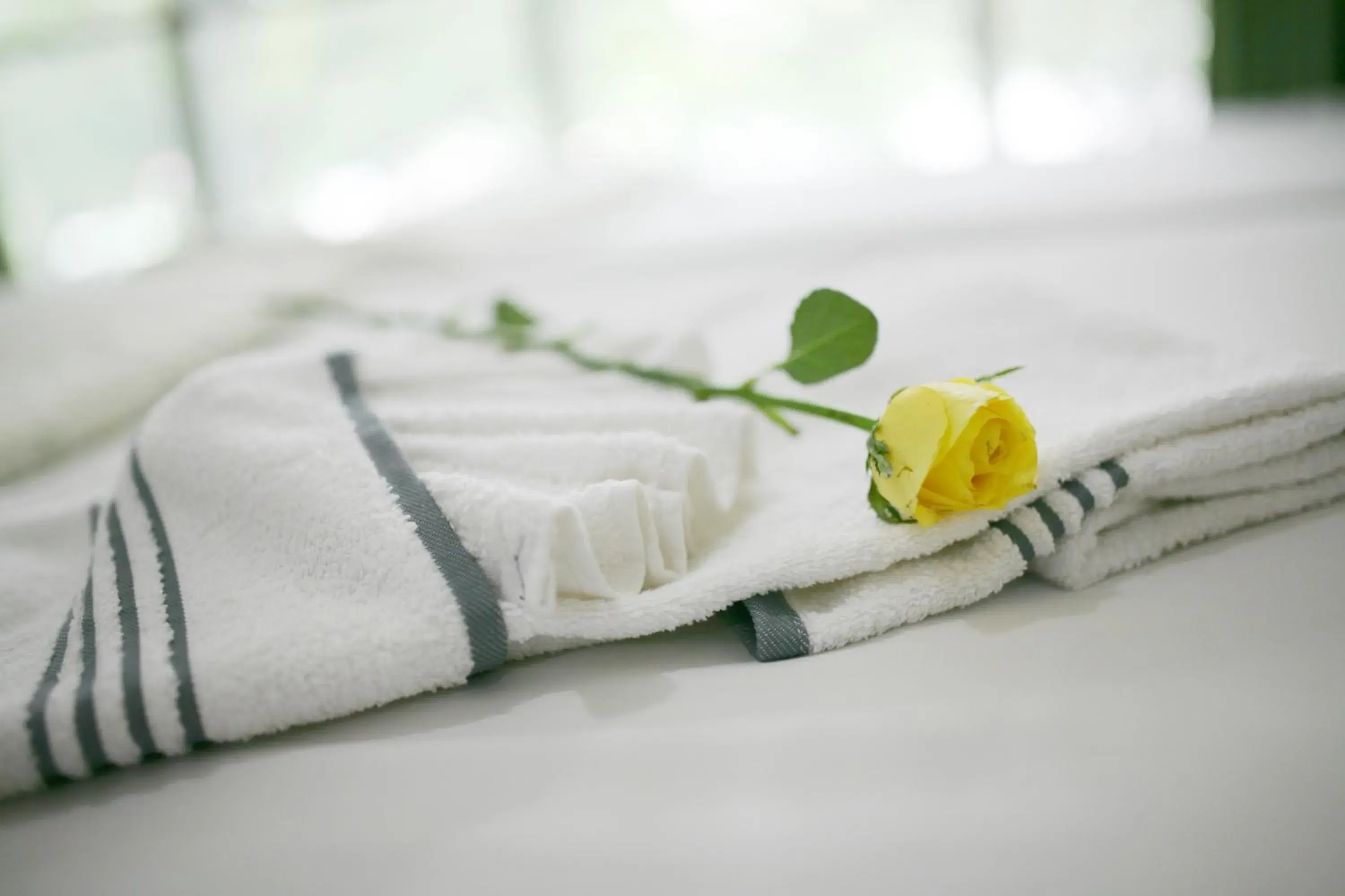 Bedroom, Bed in Kim Khoi Hotel Bedroom, Bed in Kim Khoi Hotel