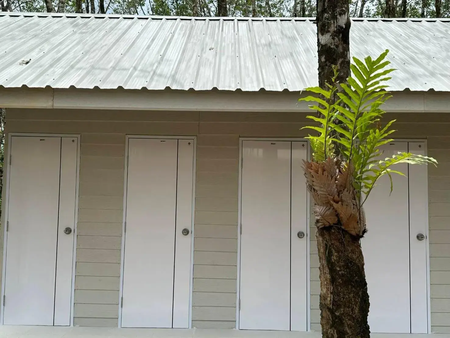 Bunk Bed in Female Dormitory Room in Rabbit Bungalow Bunk Bed in Female Dormitory Room in Rabbit Bungalow