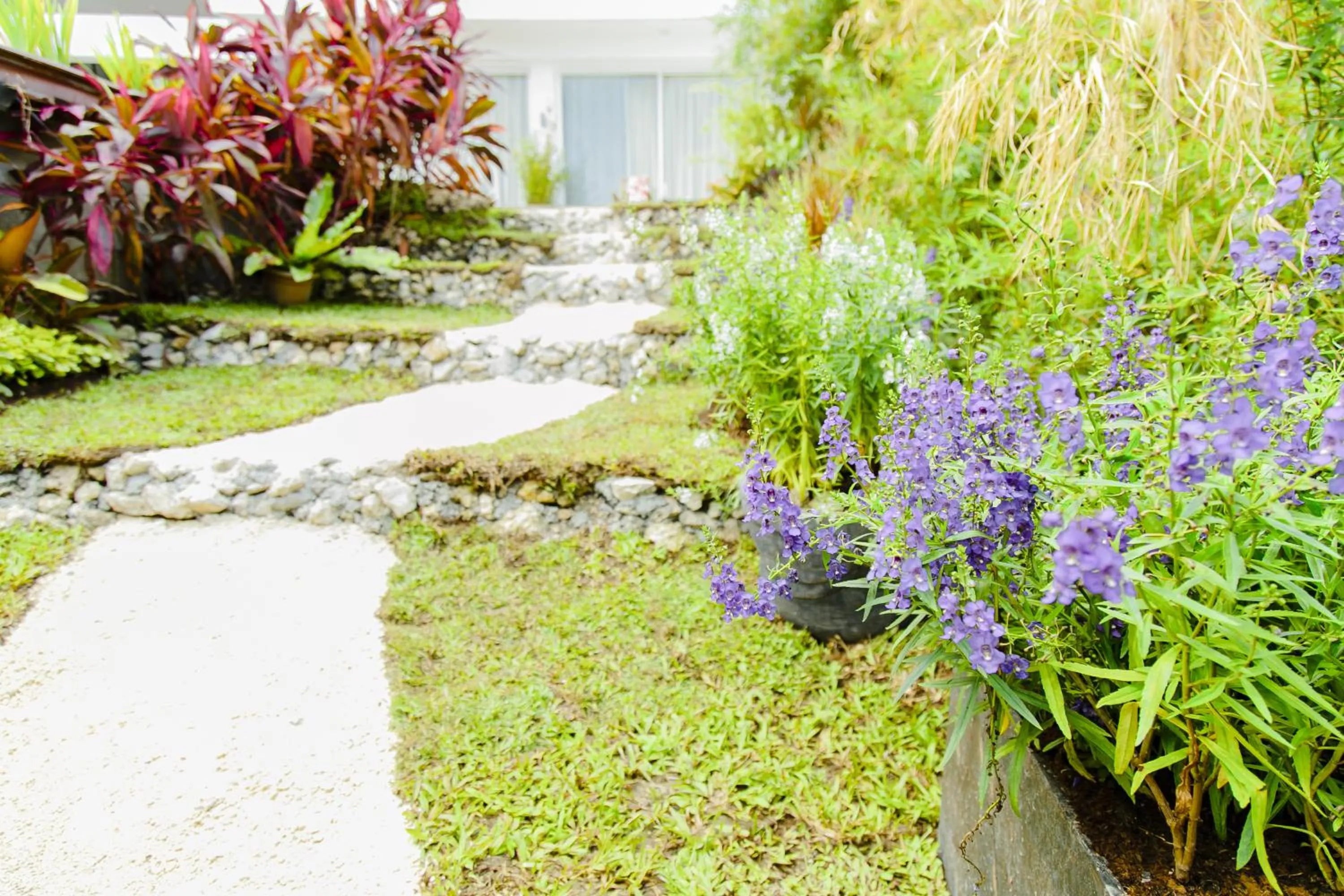 Day in Ocean Suites Bohol Boutique Hotel