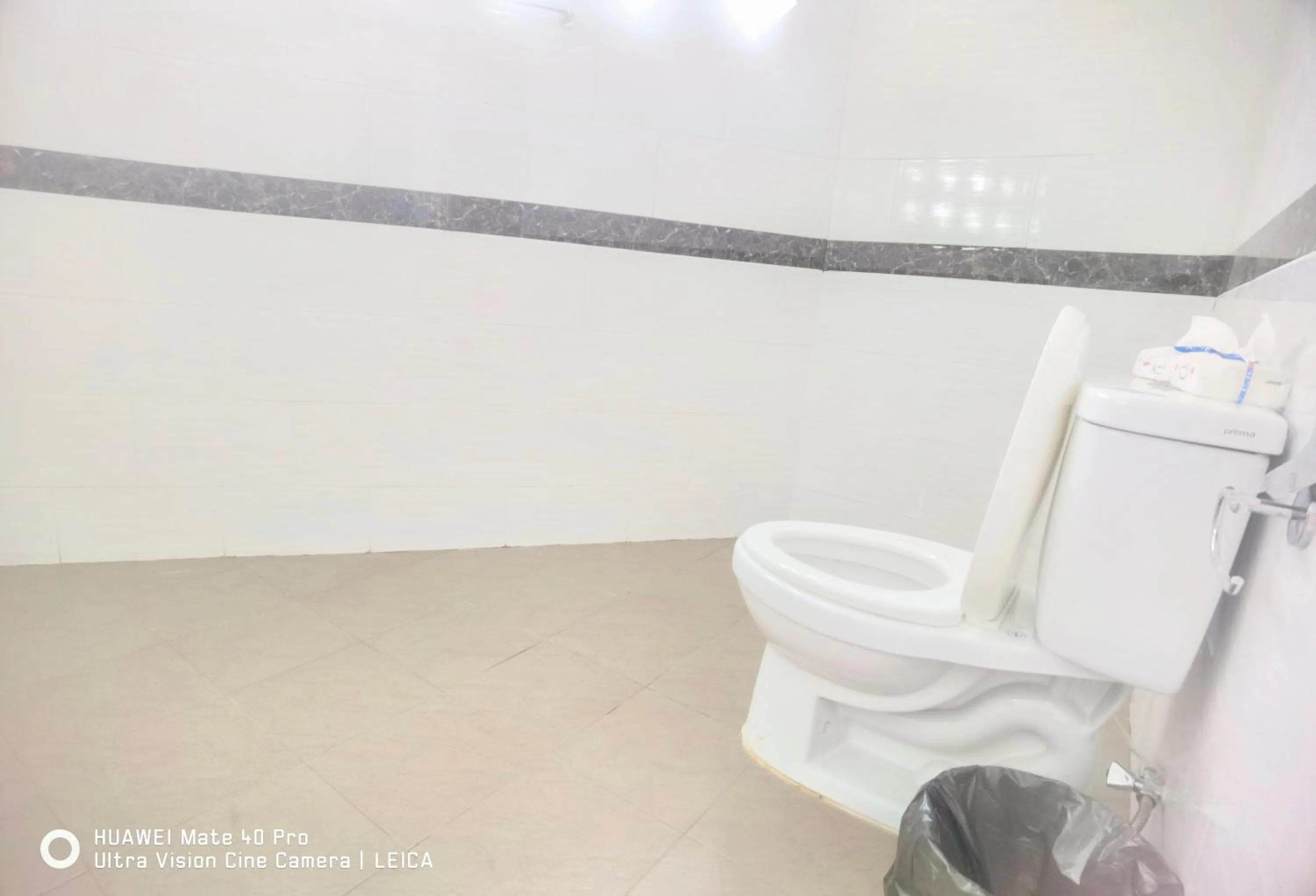 Toilet in 115 Townhouse