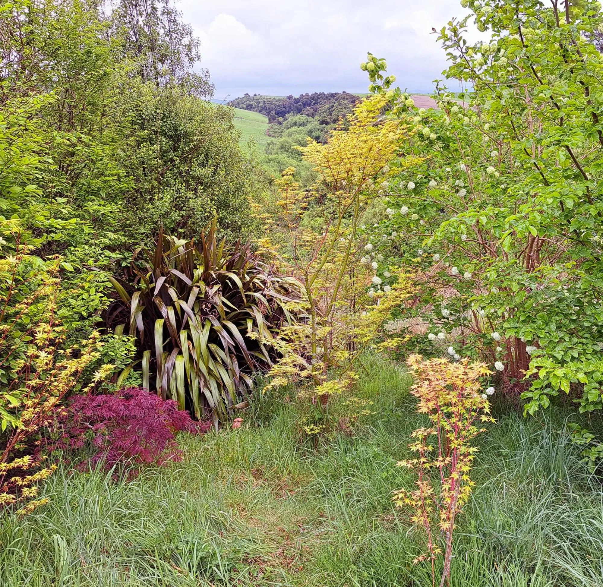 Garden in Kotare BandB