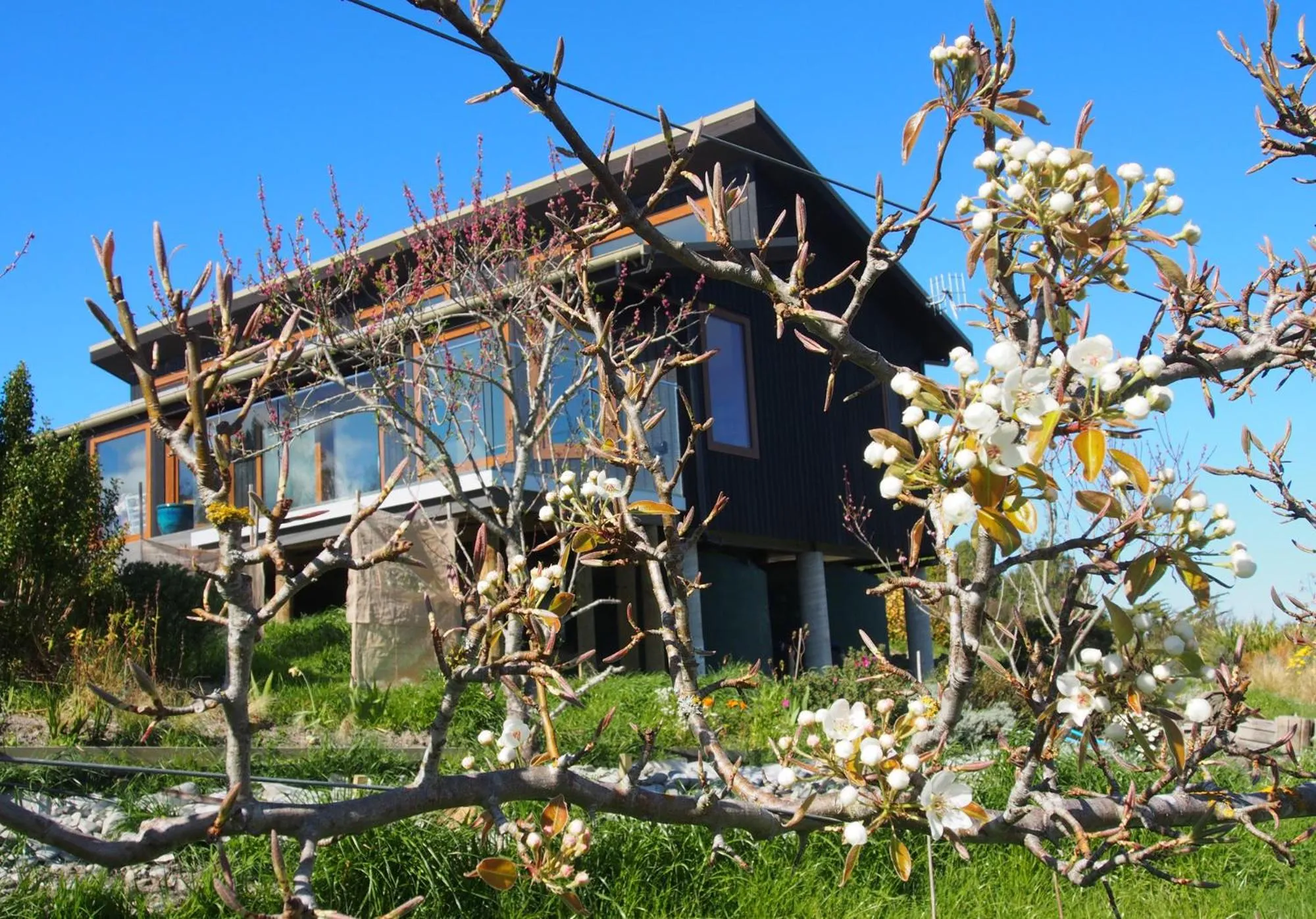 Garden in Kotare BandB