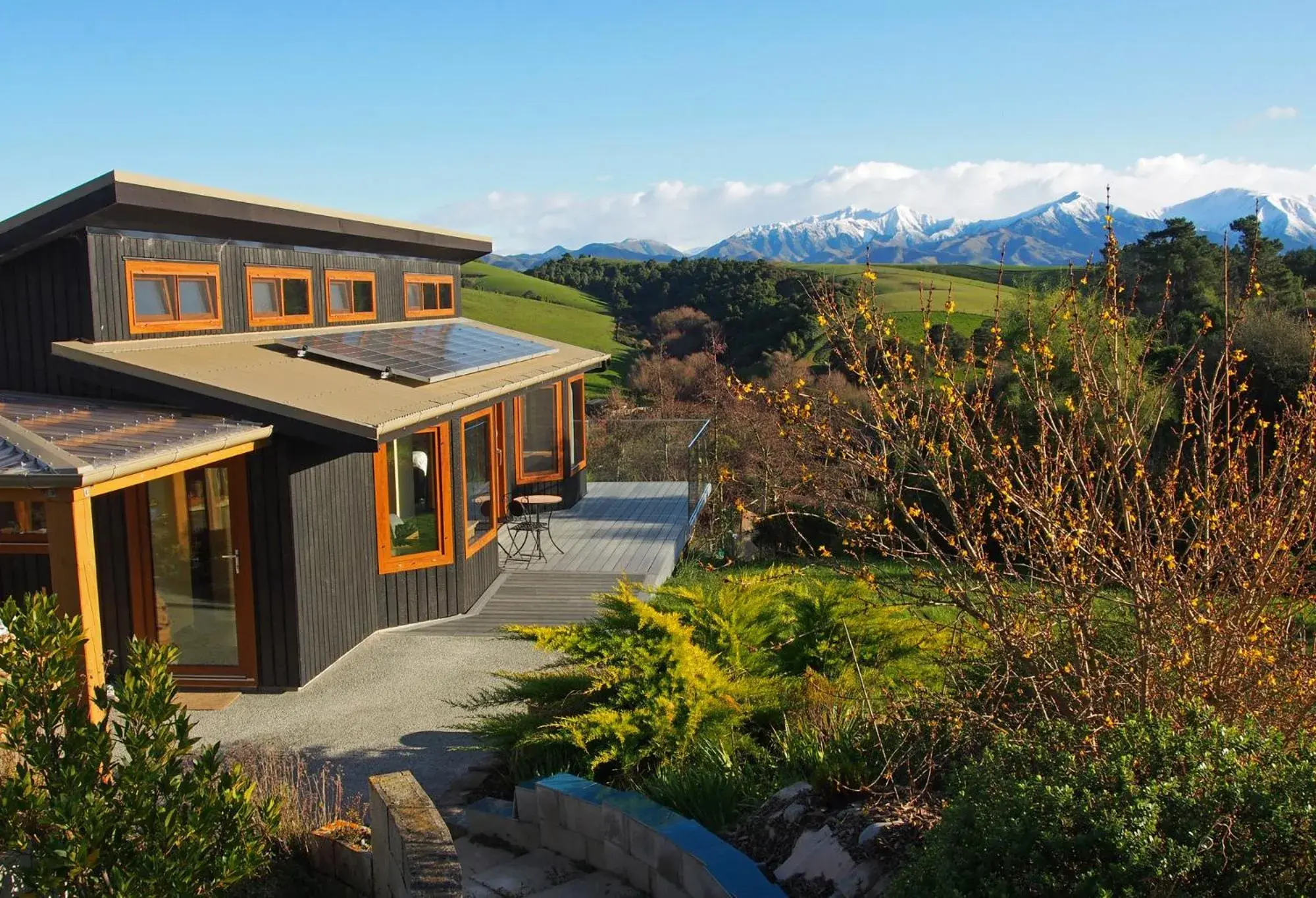 Kotare BandB Kotare BandB