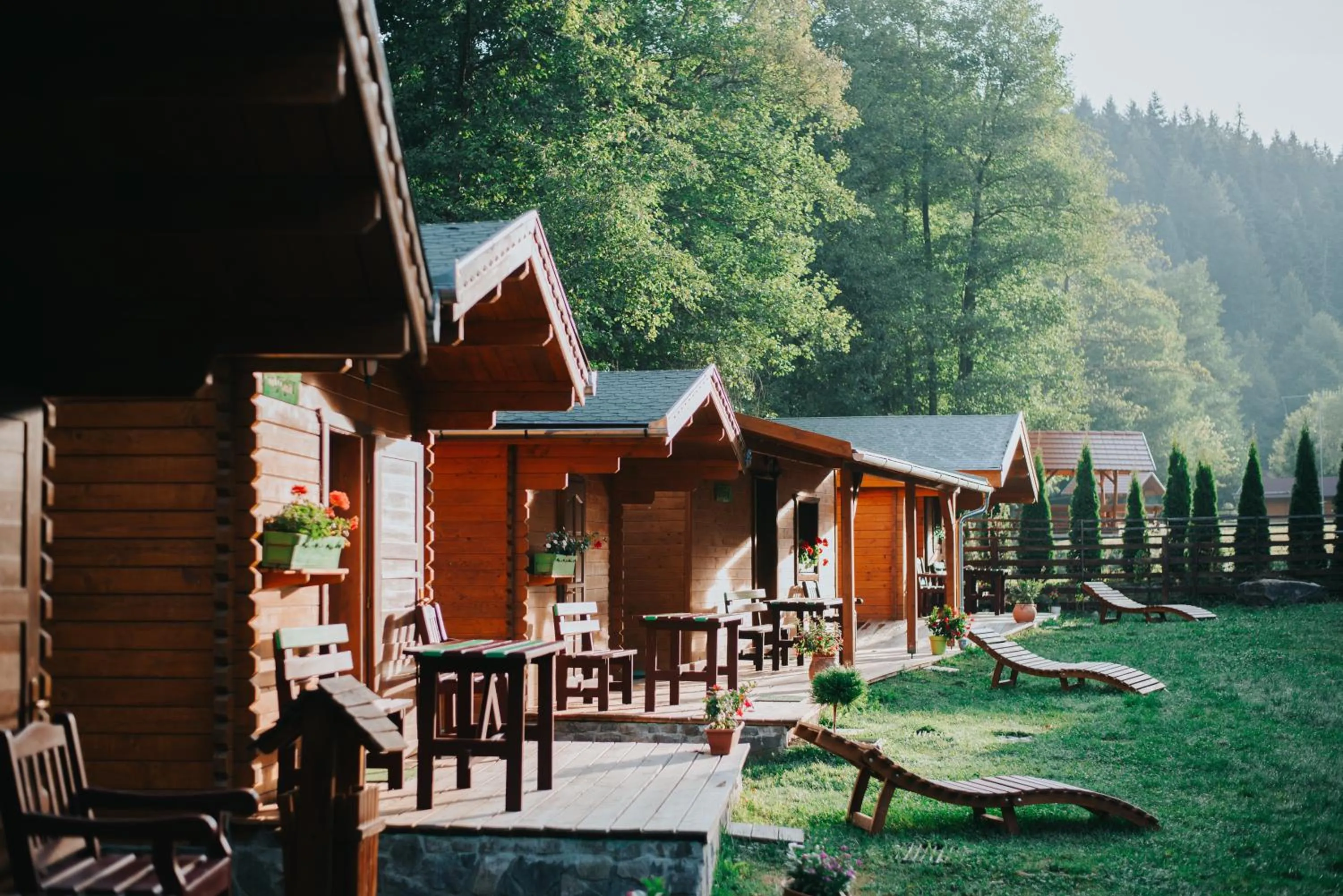 Property building in Vidra Park