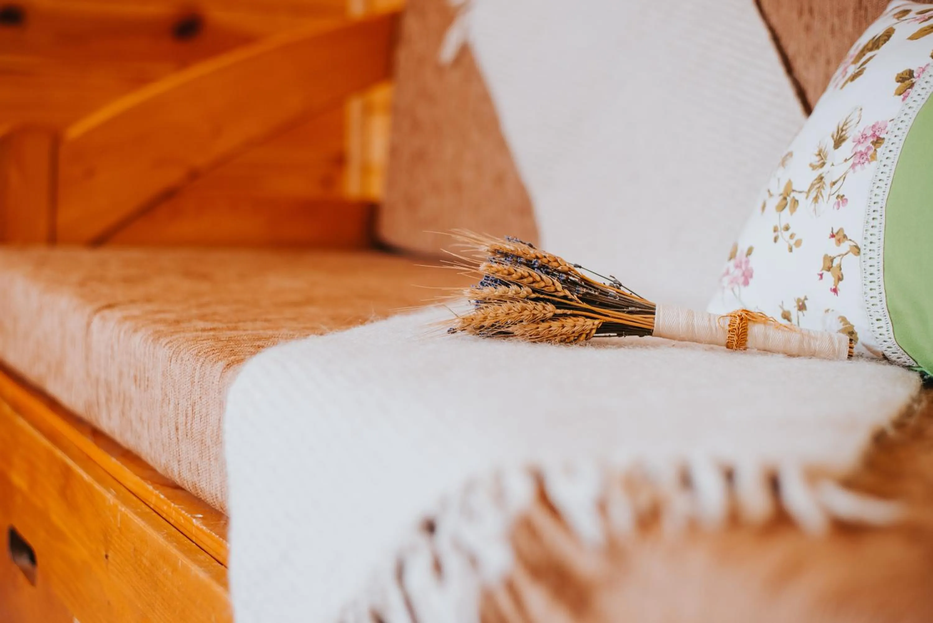 Living room, Bed in Vidra Park
