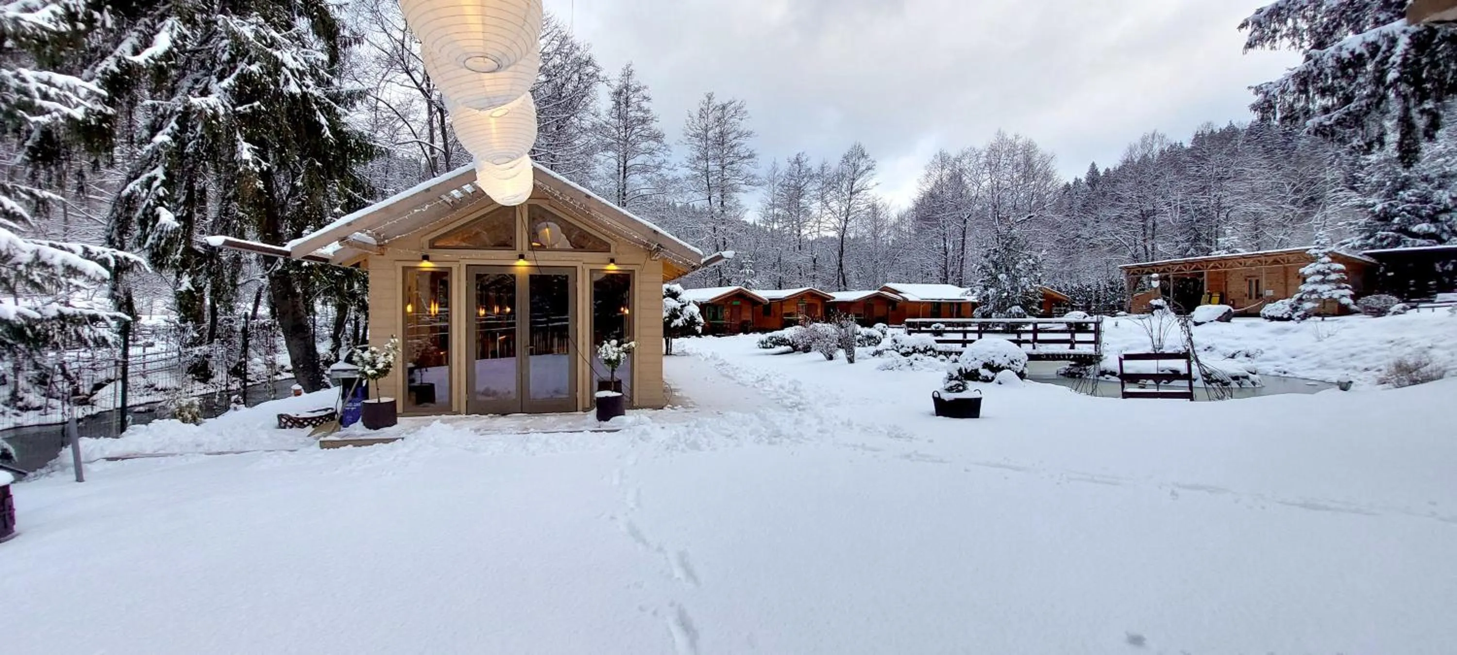 Natural landscape in Vidra Park