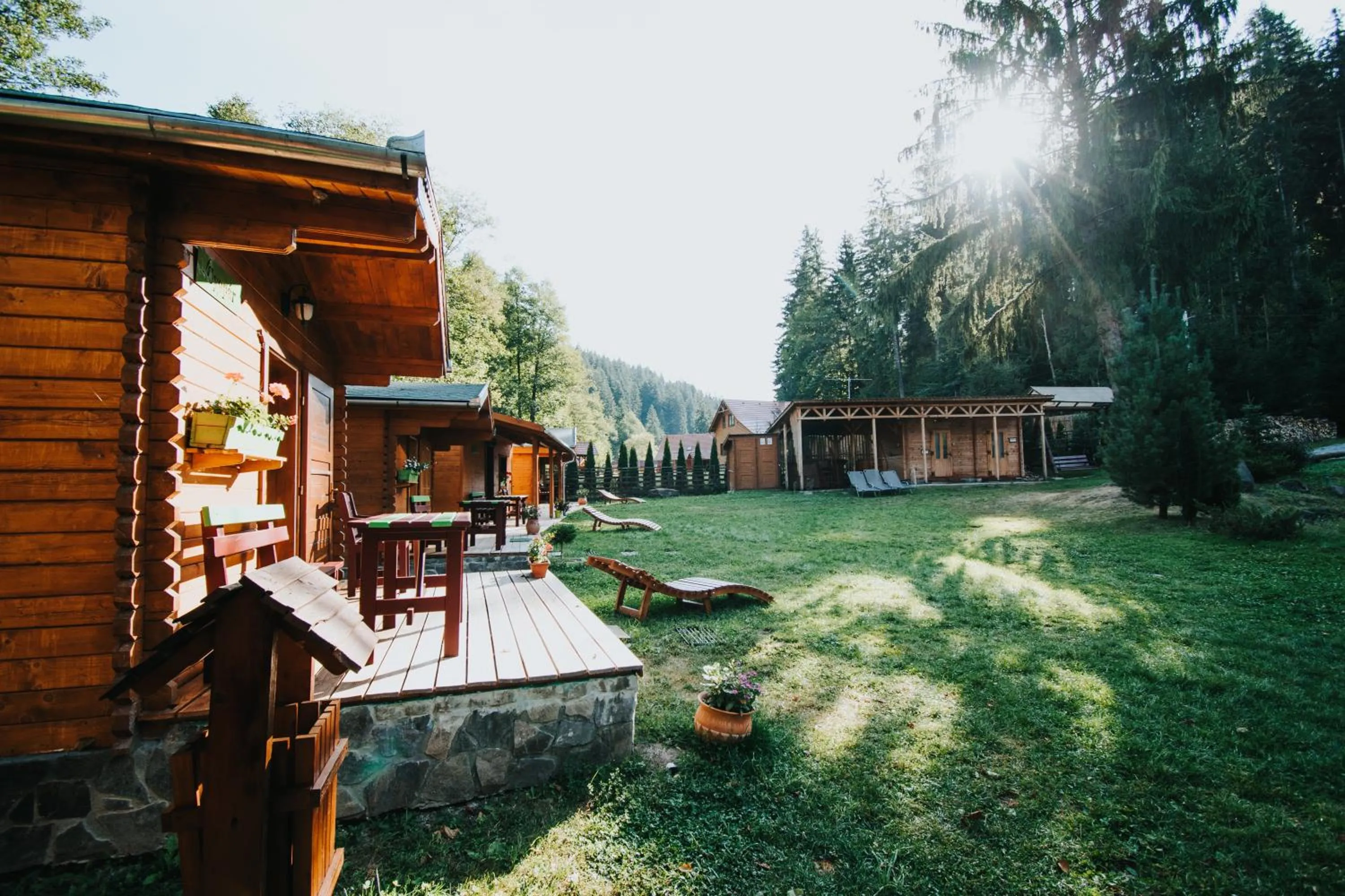 Property building in Vidra Park