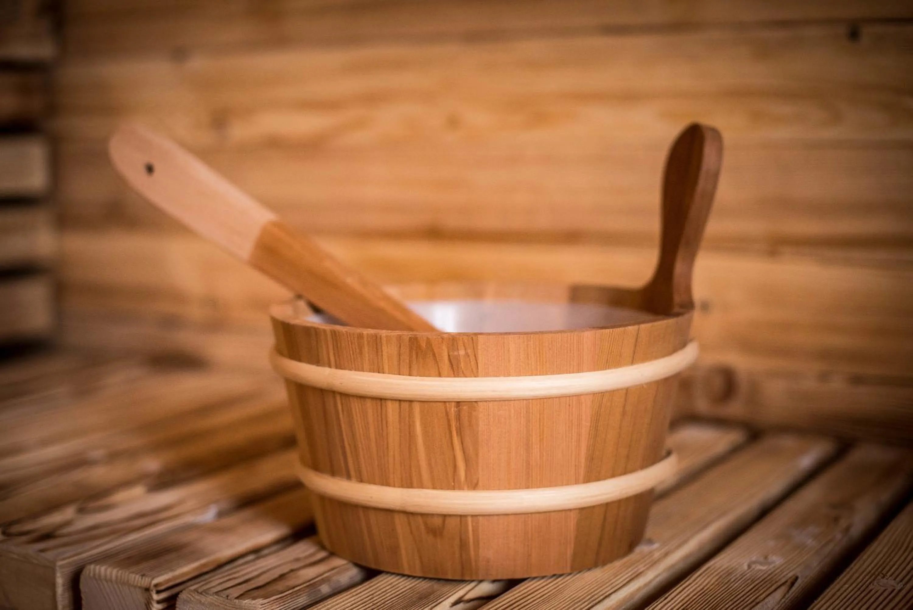 Spa and wellness centre/facilities in Vidra Park