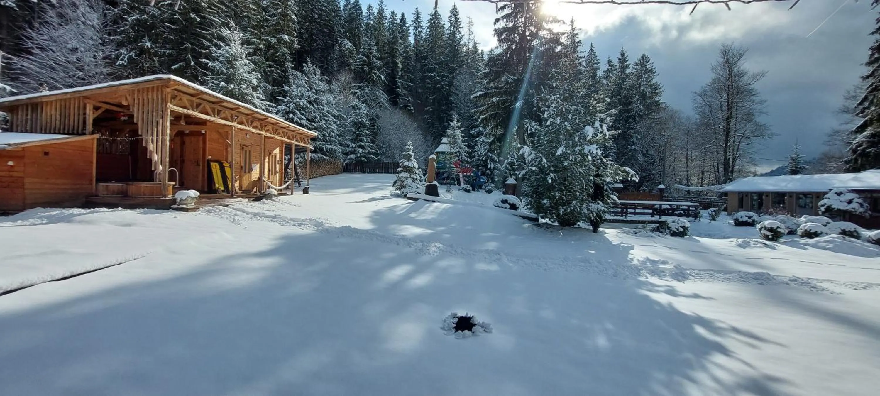 Winter in Vidra Park