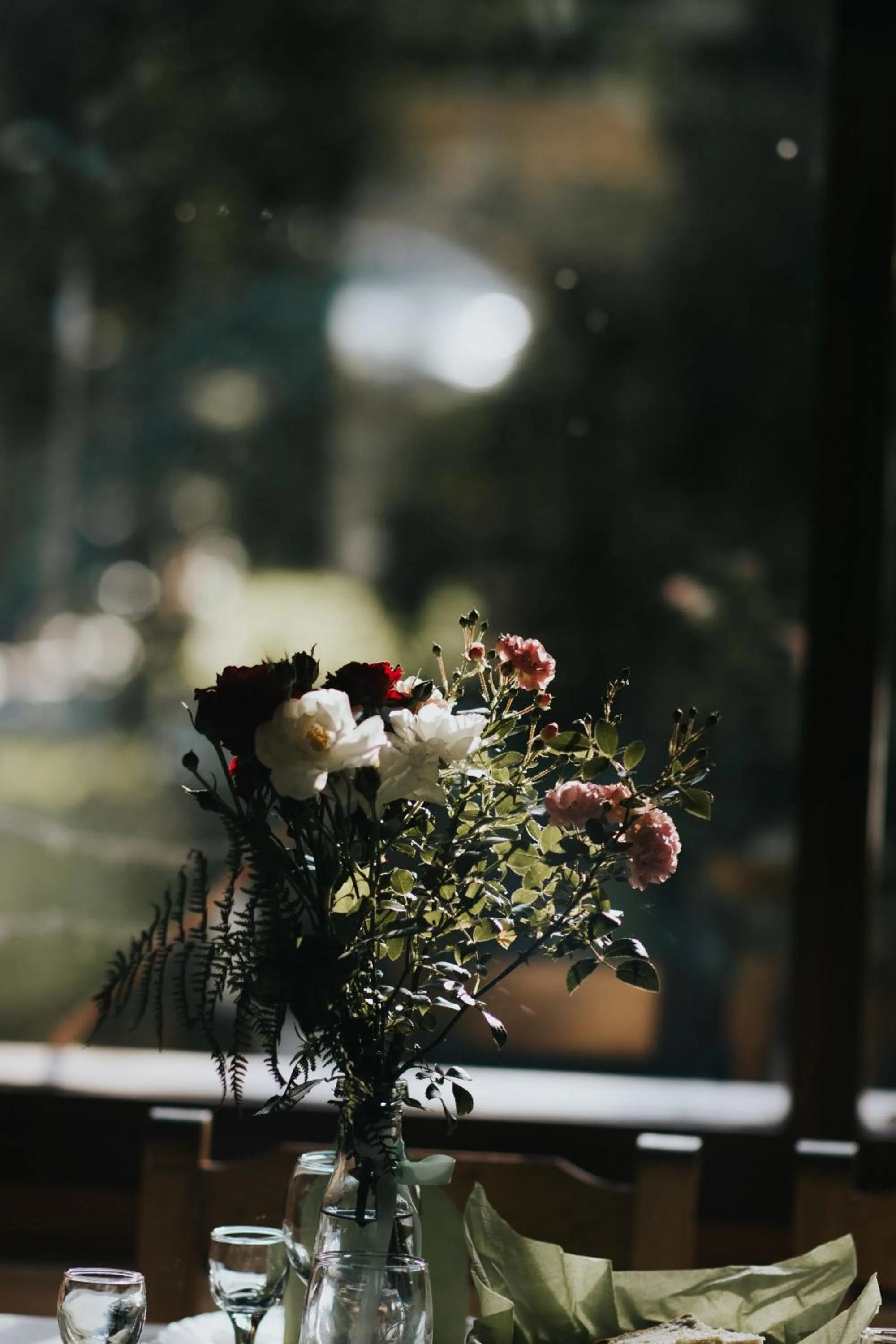 Restaurant/places to eat in Vidra Park