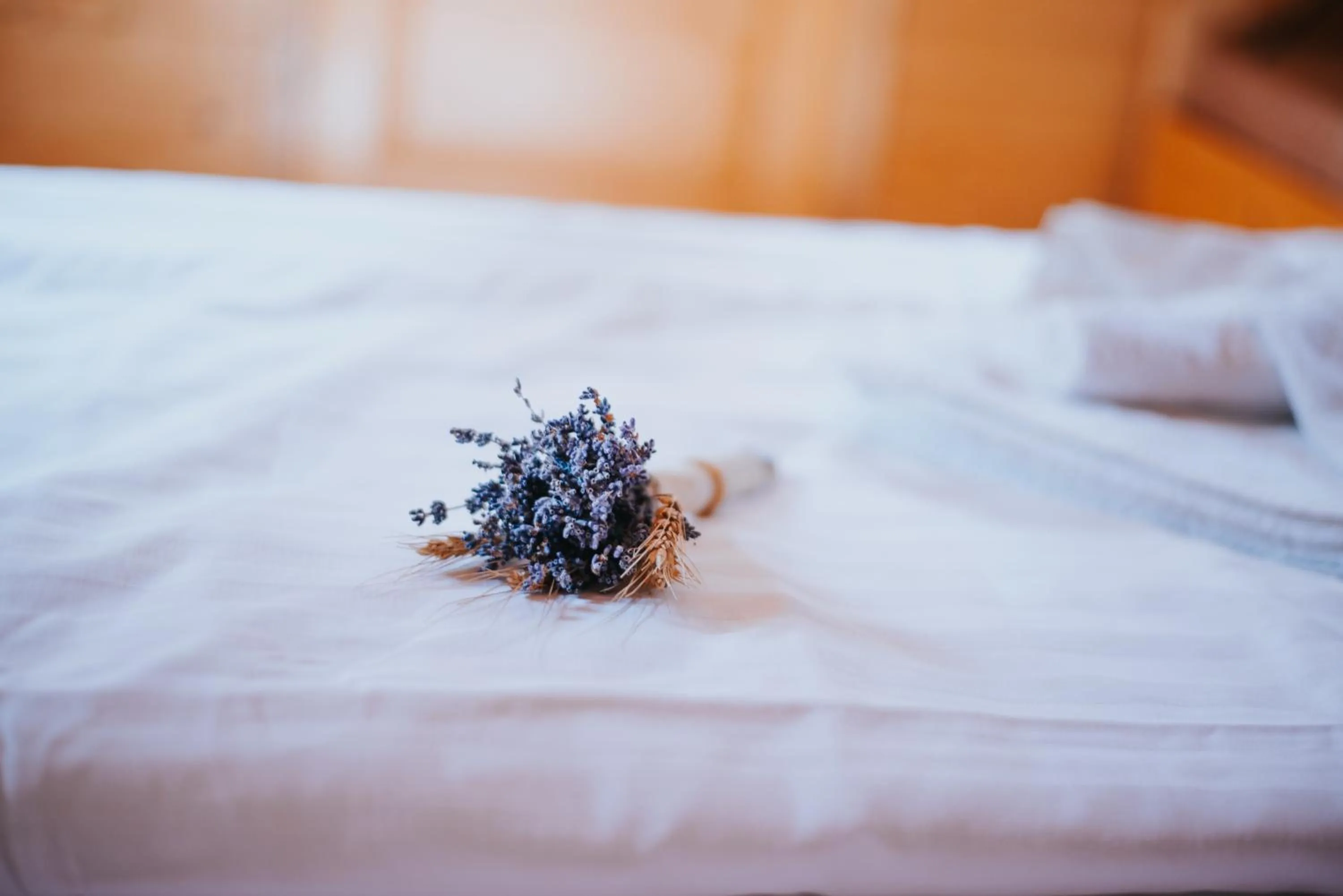 Bedroom, Bed in Vidra Park