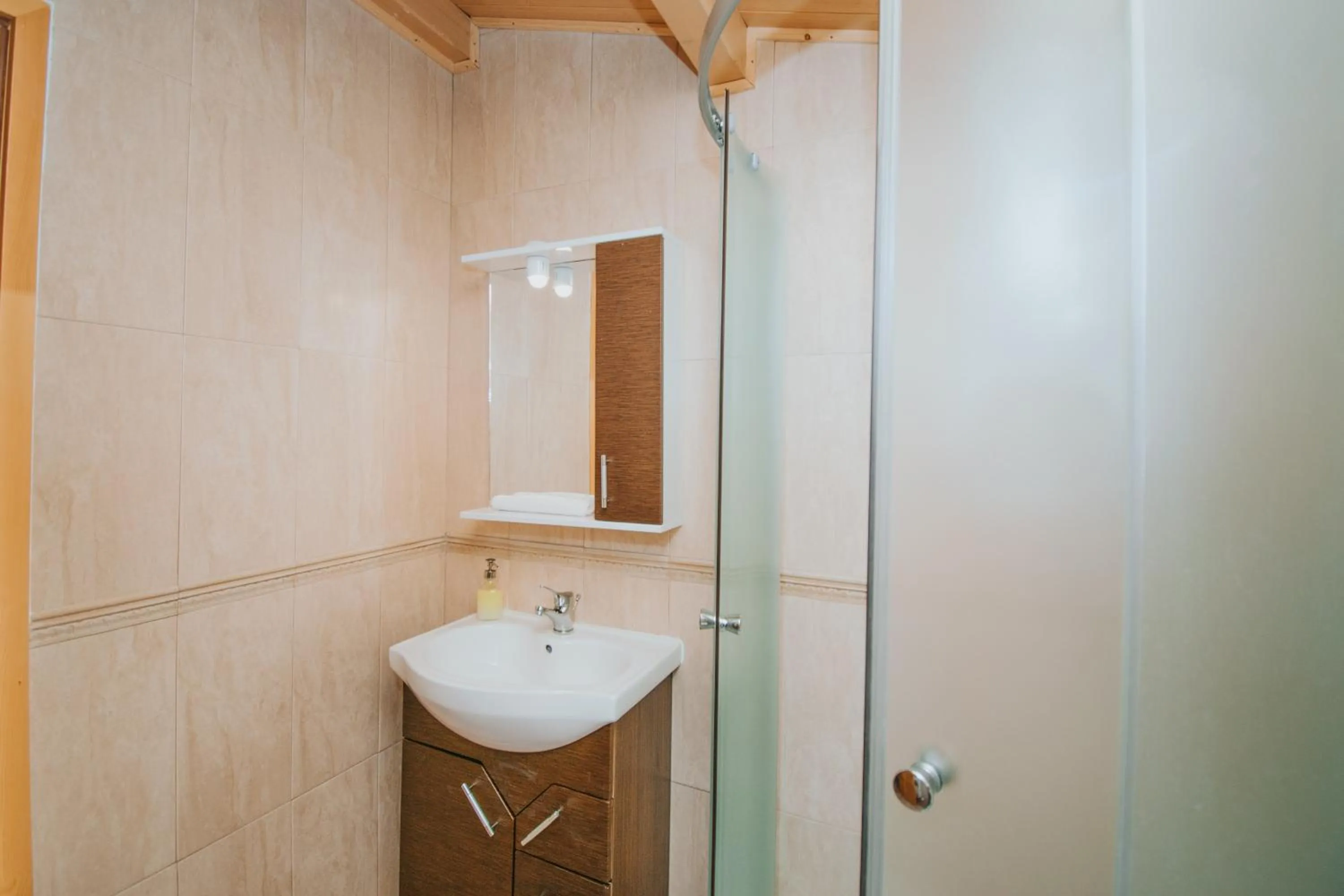 Bathroom in Vidra Park