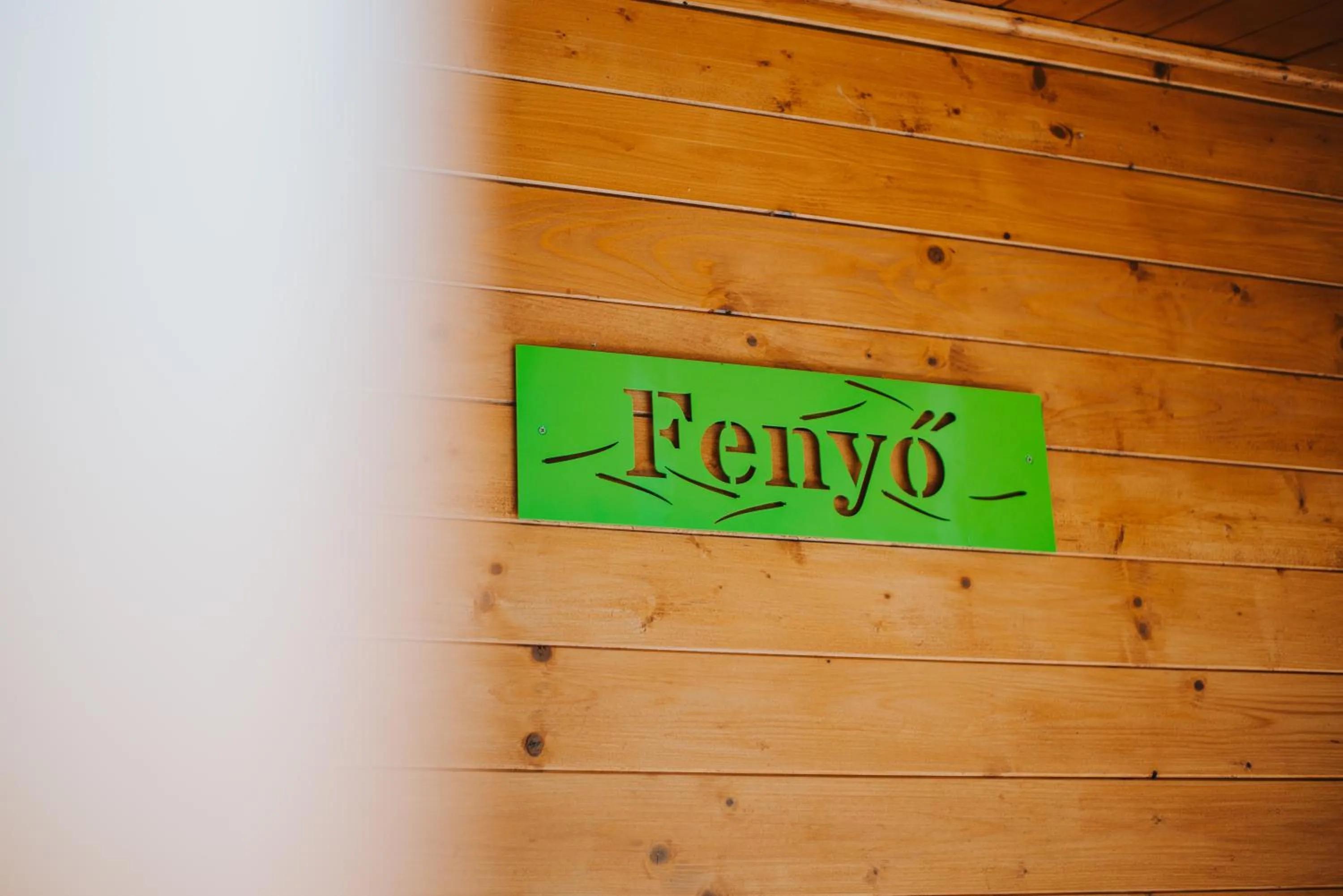 Property building in Vidra Park