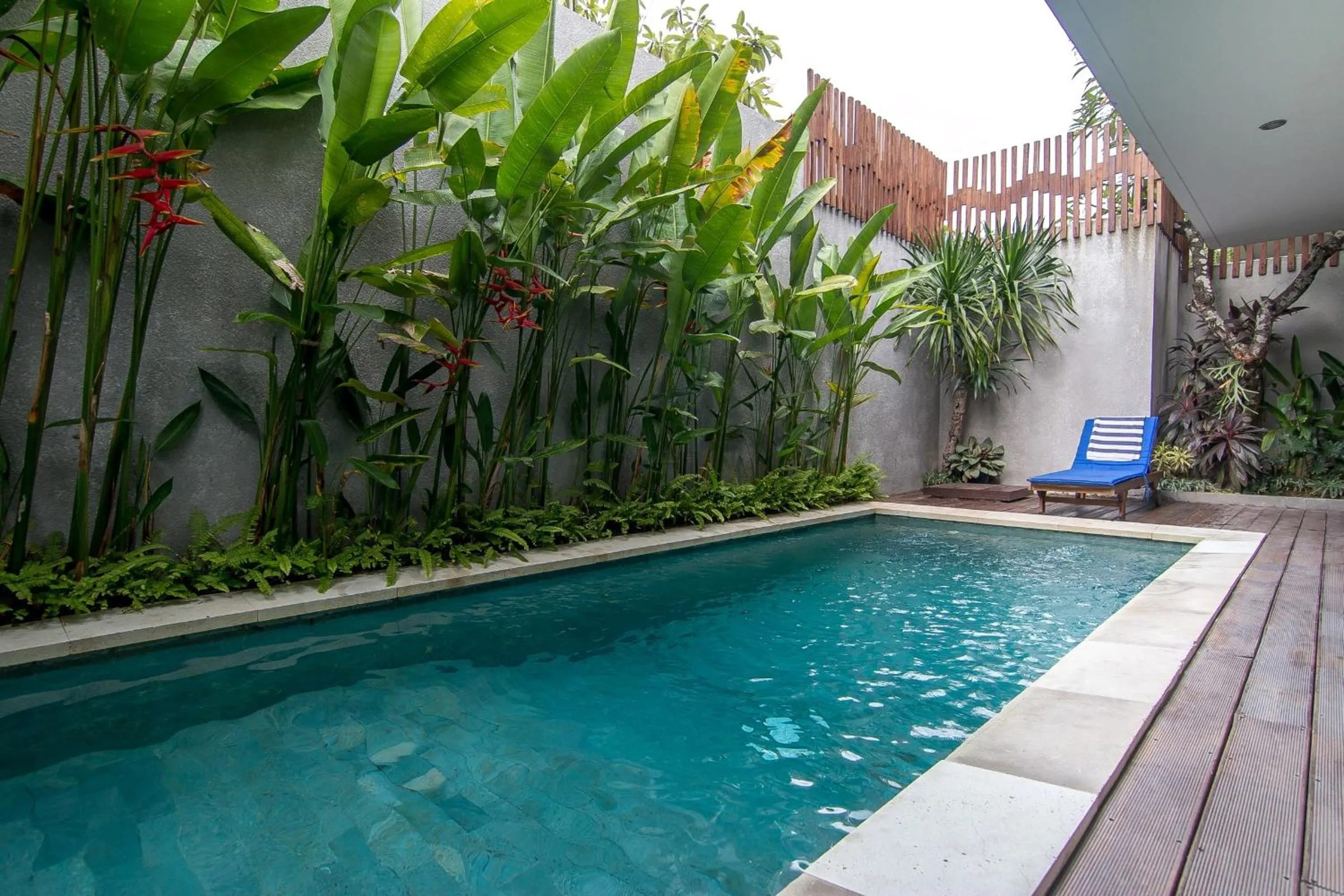 Swimming pool in Delu Villas & Suite