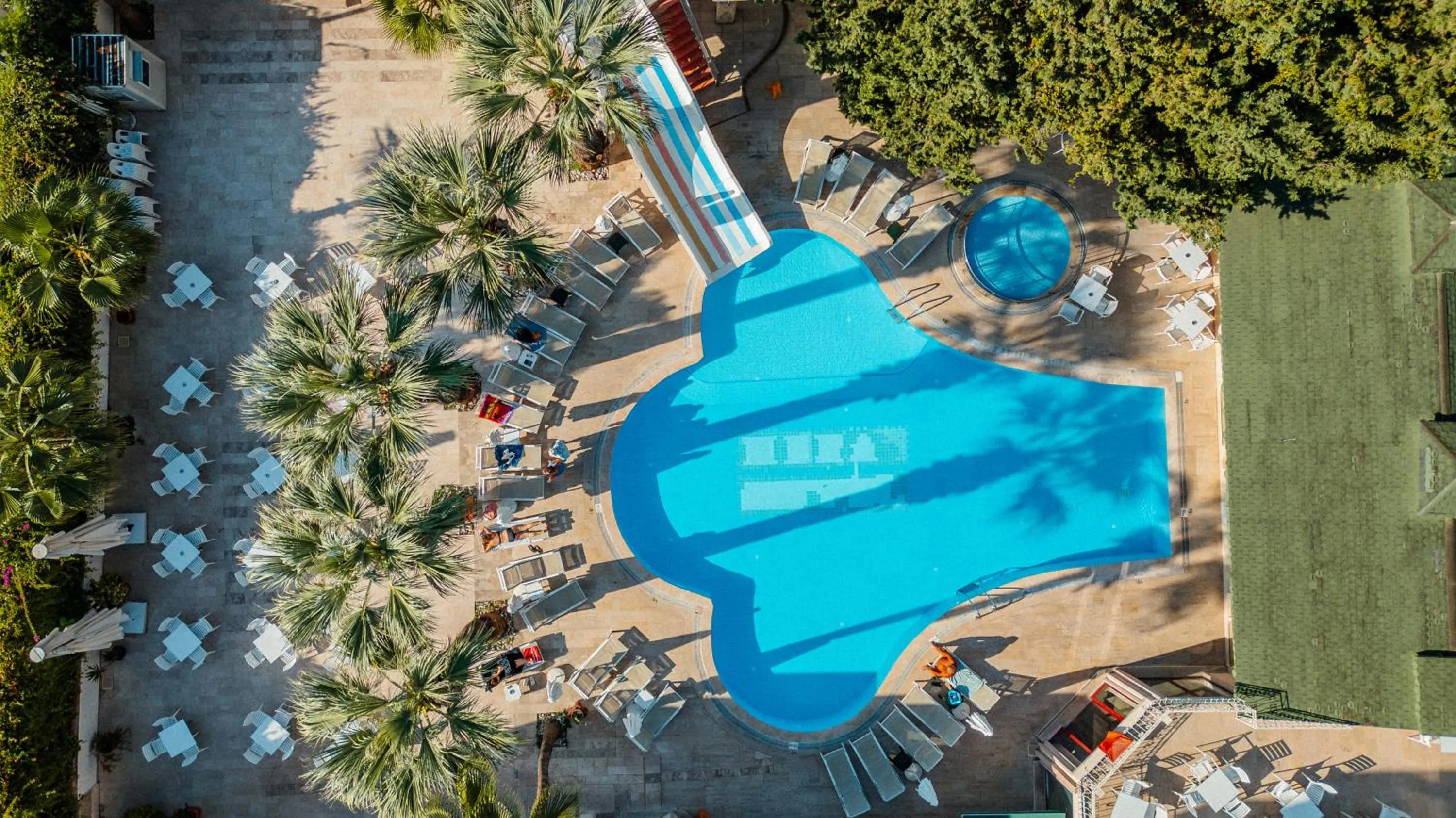 Garden in Sun Beach Park Hotel