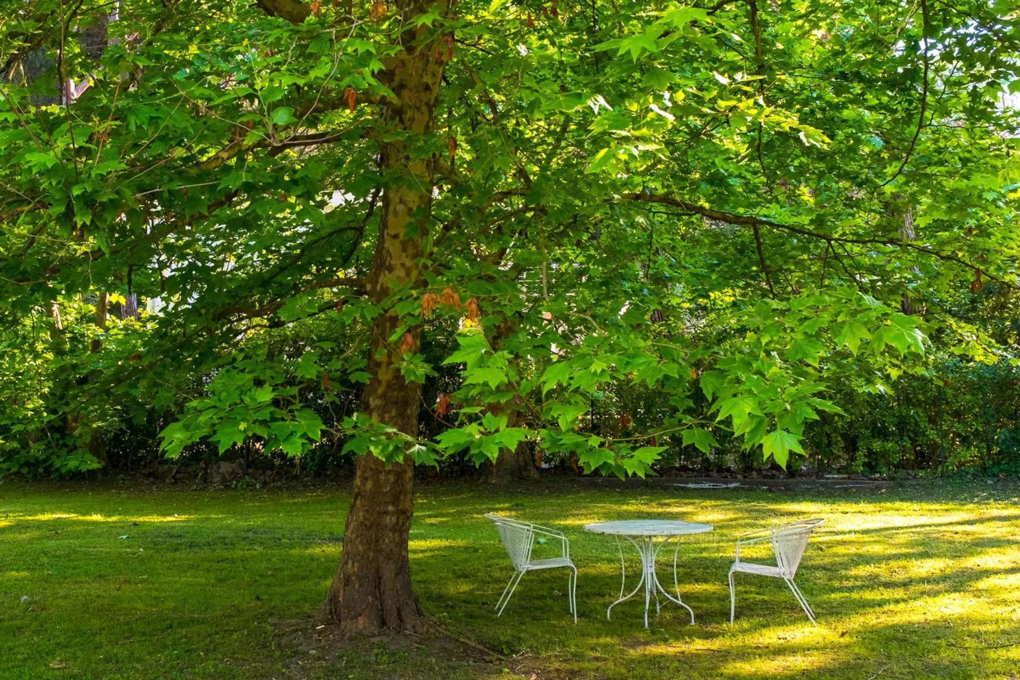 Summer in Hotel La Bussola