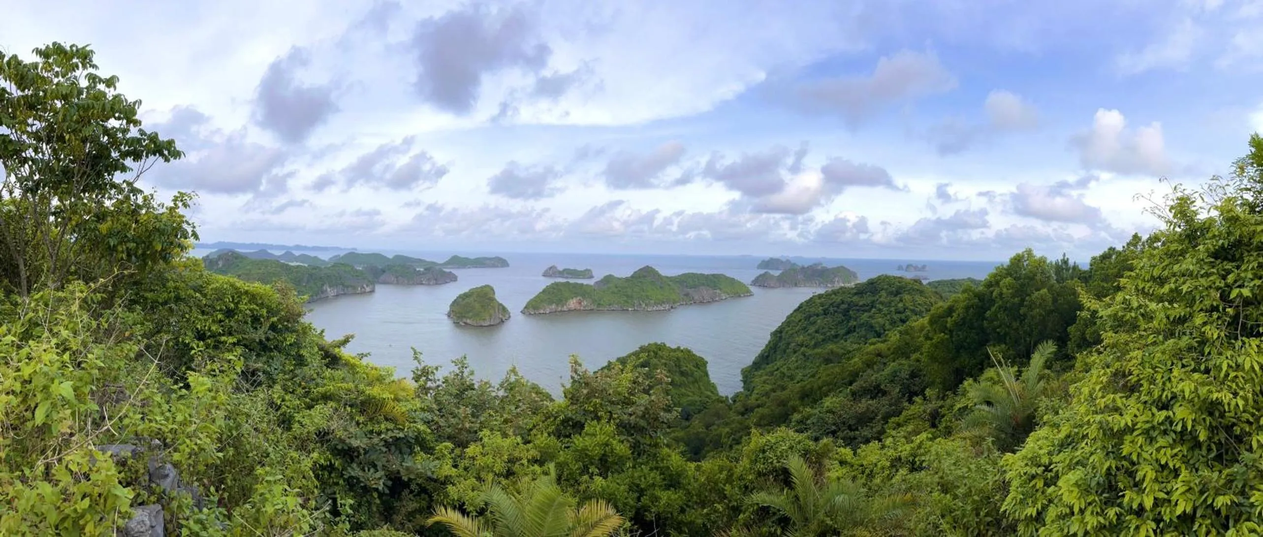 Natural landscape in CAT BA ROSALIA HOTEL