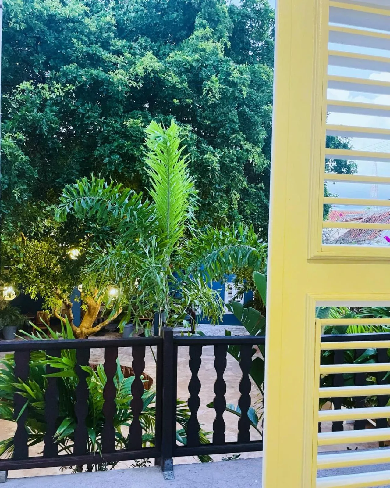 Garden in Atelier Skalo Boutique Hotel