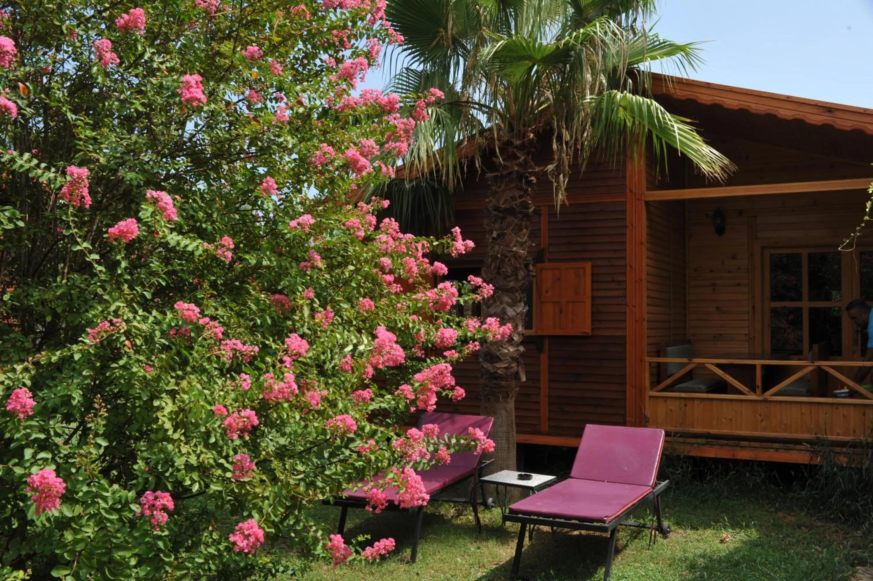 Facade/entrance in Hemerans Anatolia