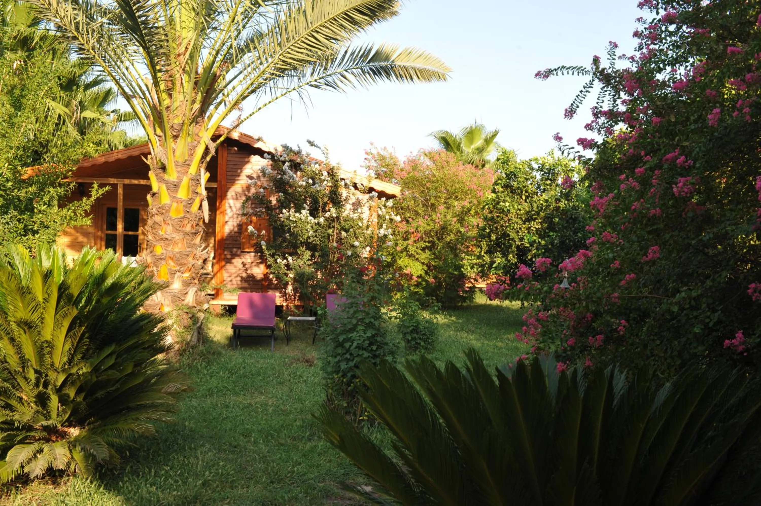 Garden in Hemerans Anatolia