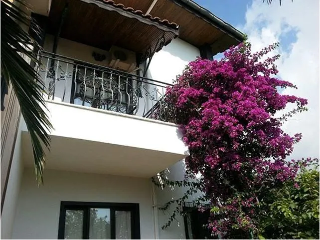 Property building in Hemerans Anatolia