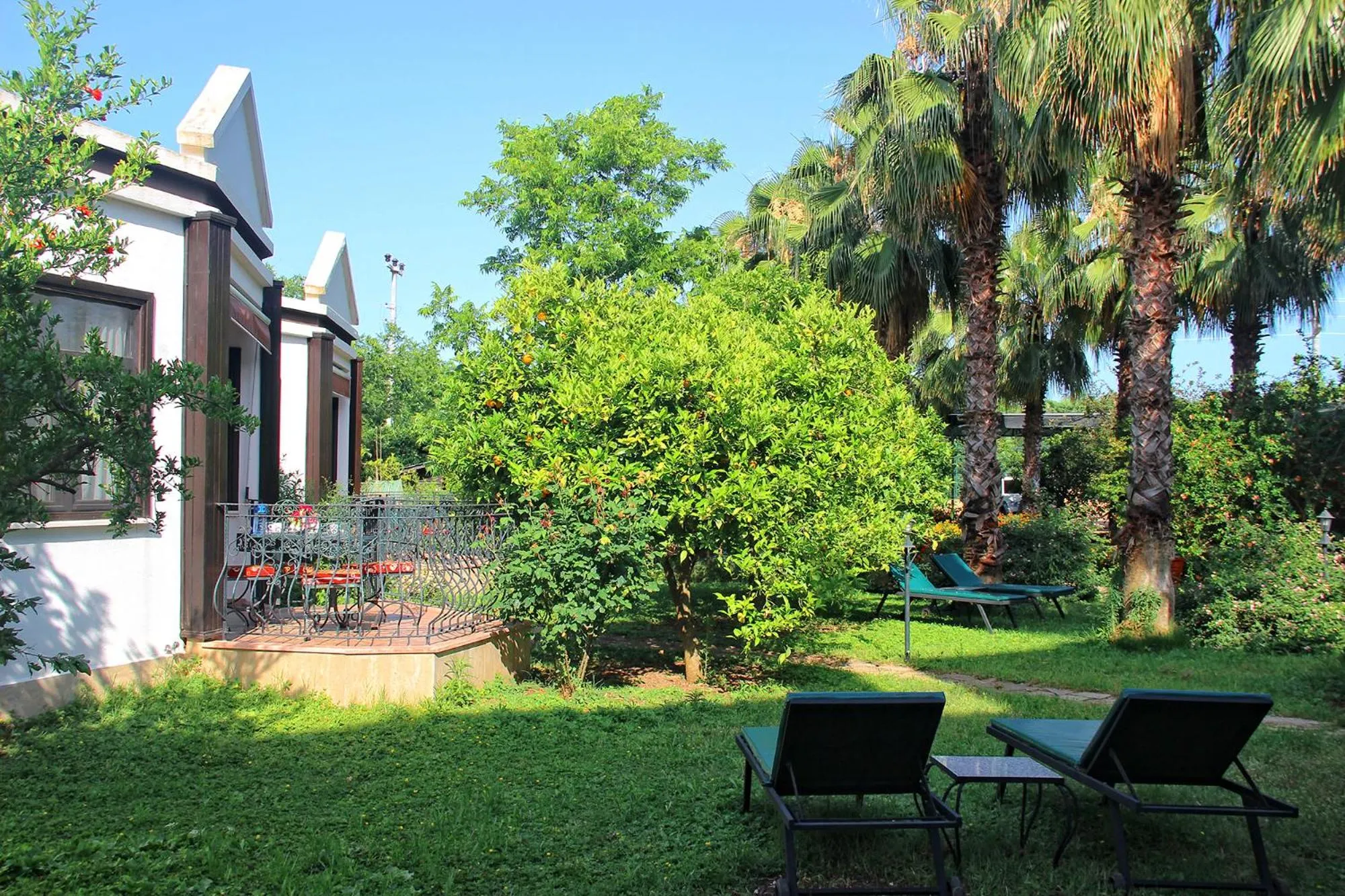 Spring in Hemerans Anatolia