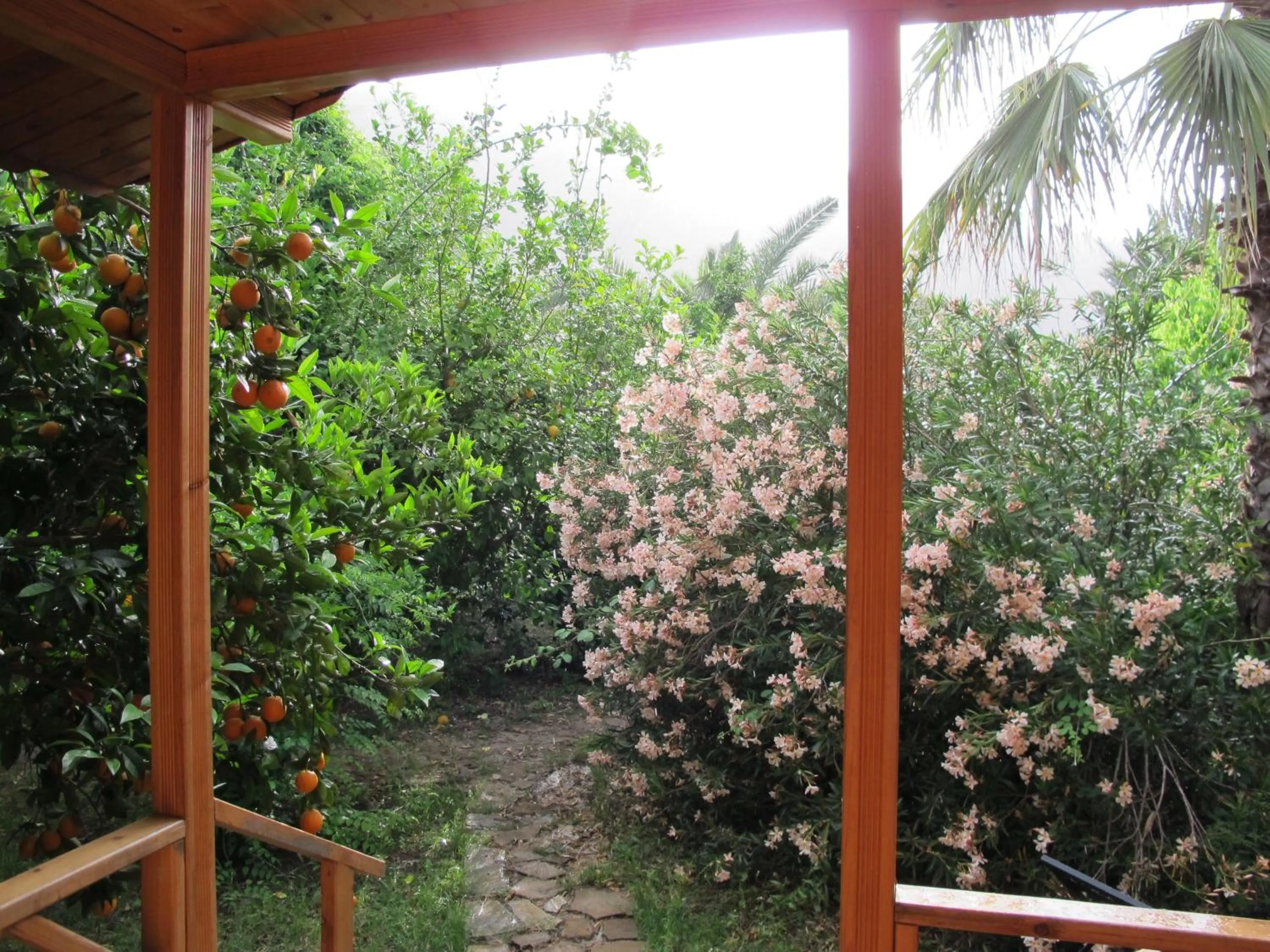Photo of the whole room in Hemerans Anatolia