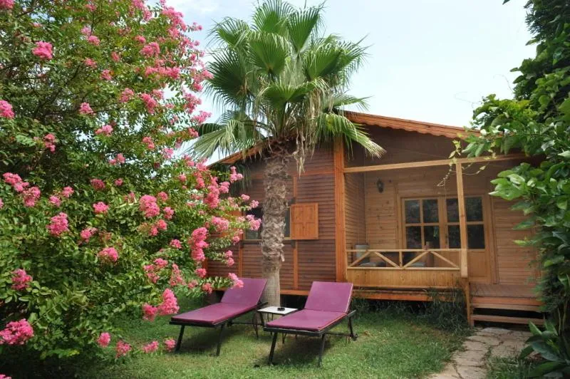 Property building in Hemerans Anatolia