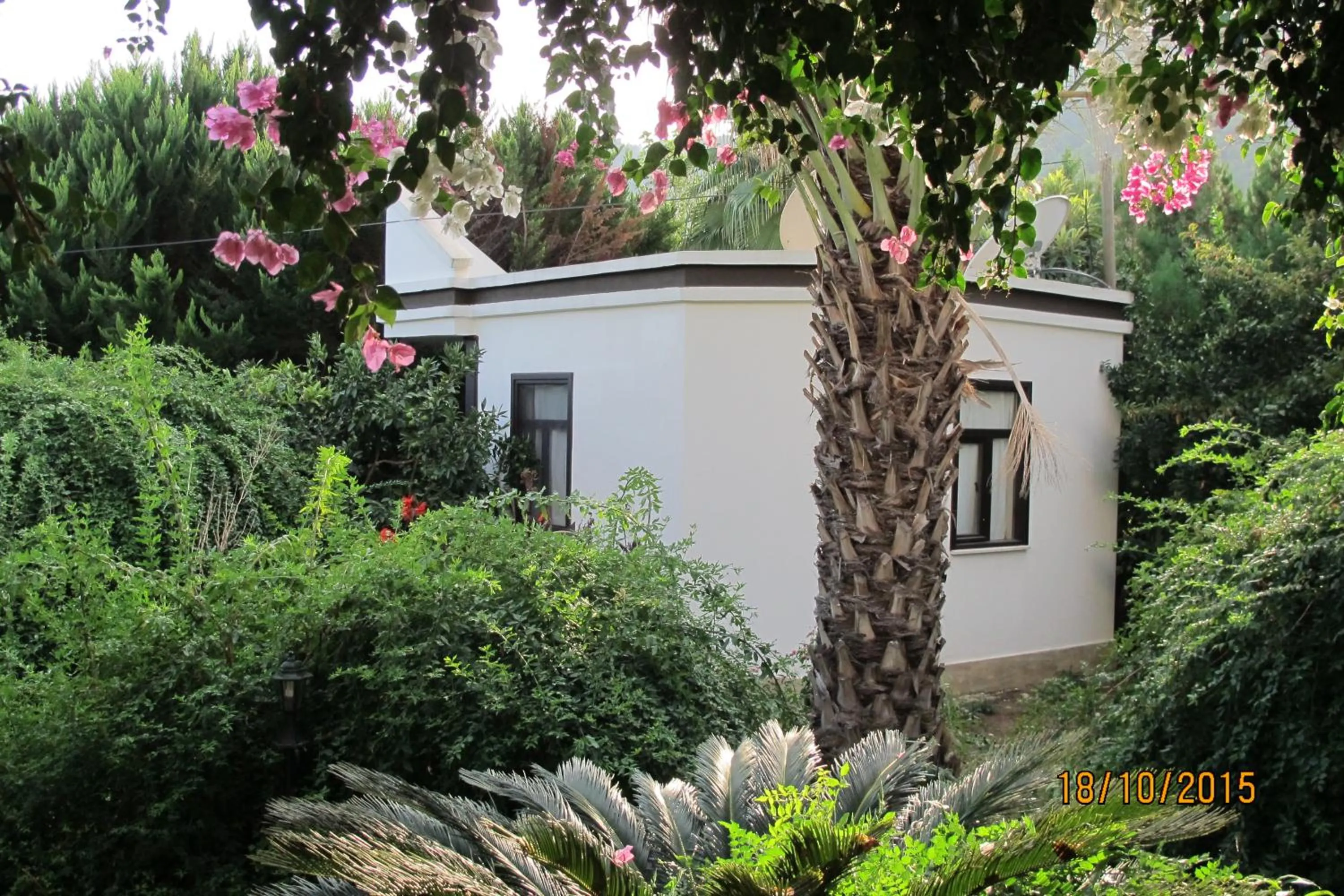 Garden in Hemerans Anatolia