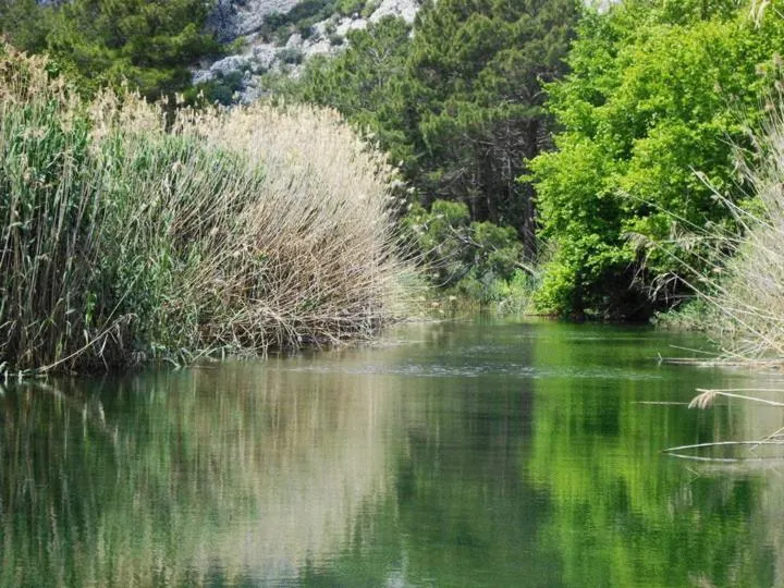 Natural landscape in Hemerans Anatolia